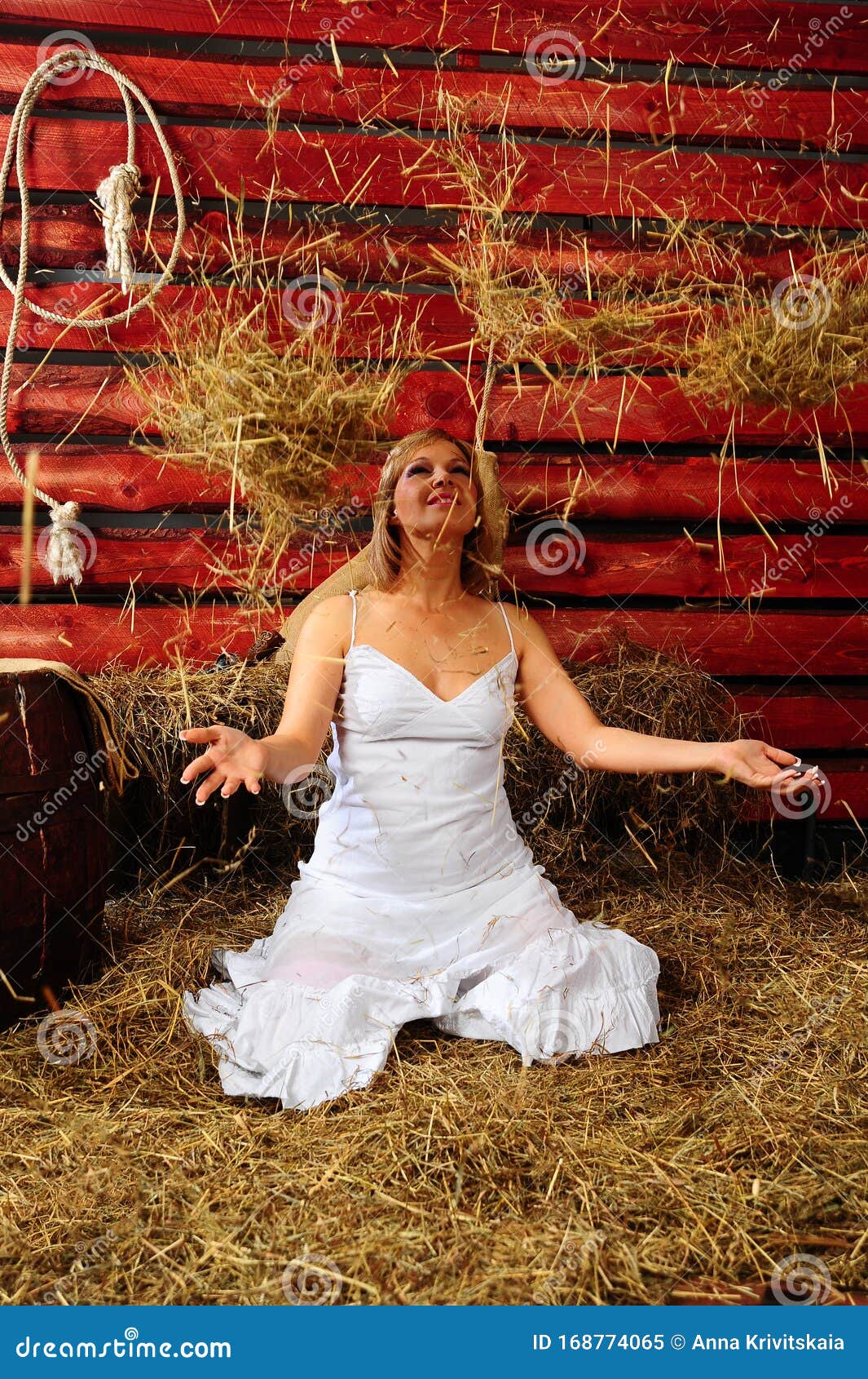 Blonde Girl In A White Dress In The Hayloft Throws Hay Stock Image