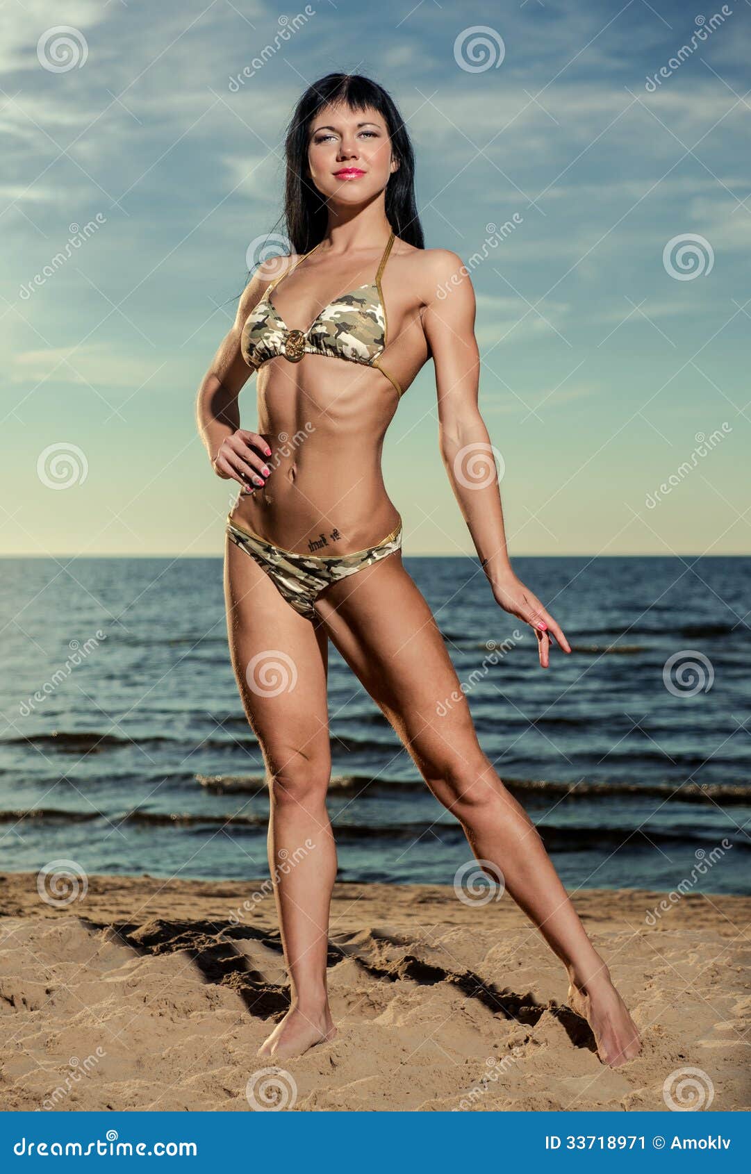 Brunette On The Beach Stock Image Image Of Attractive 33718971