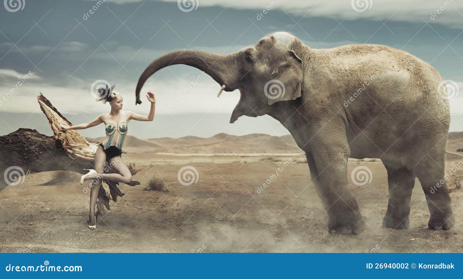 fashionable lady with elephant