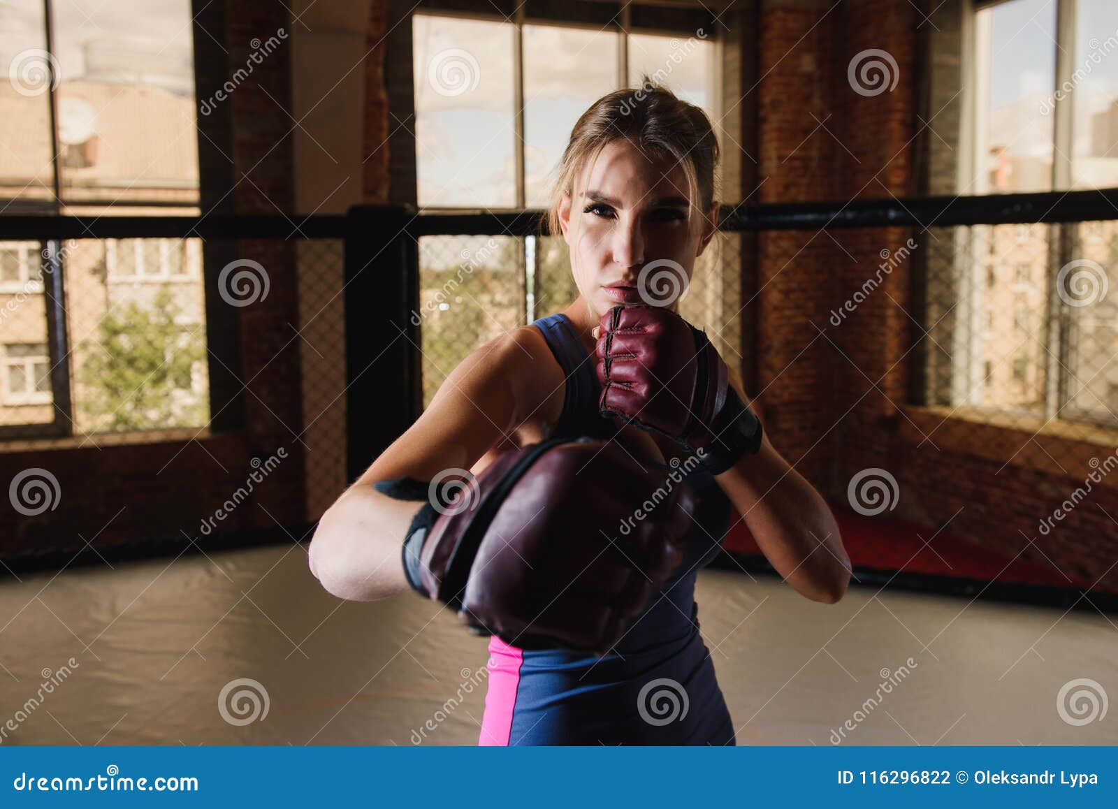 Big Shot Boxing 2.7 Free Download