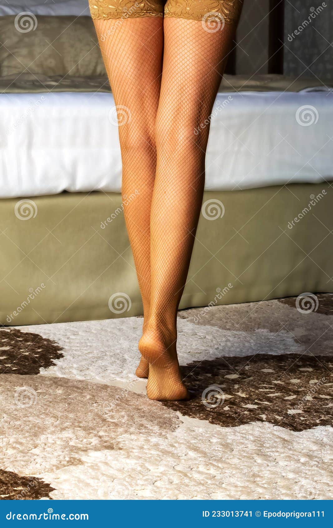 Female Legs in Fishnet Stockings with Lace on the Background of the image image