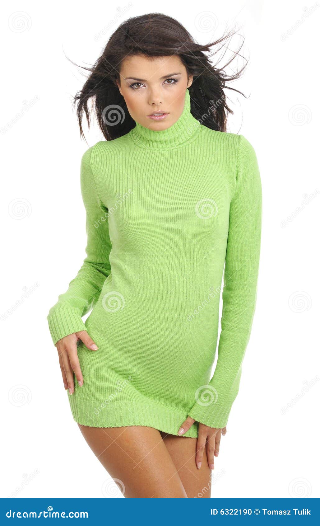 The Girl In The Green Sweater