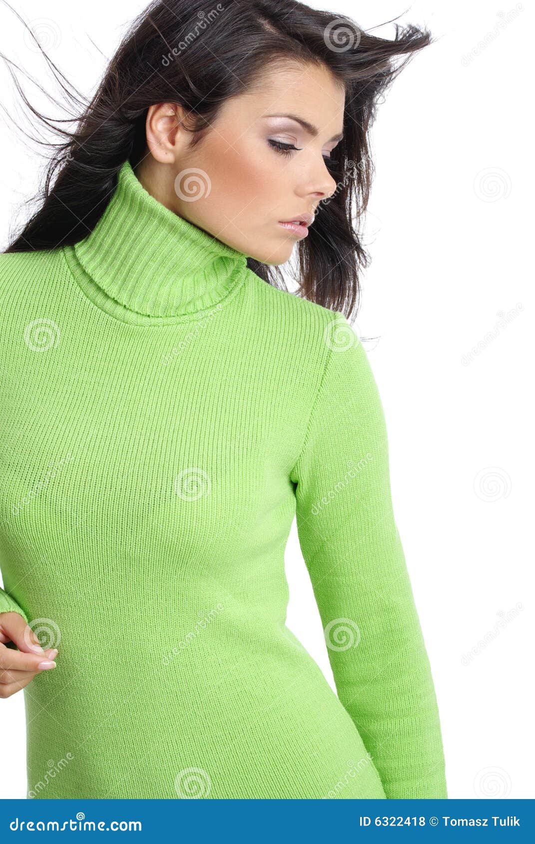 The Girl In The Green Sweater