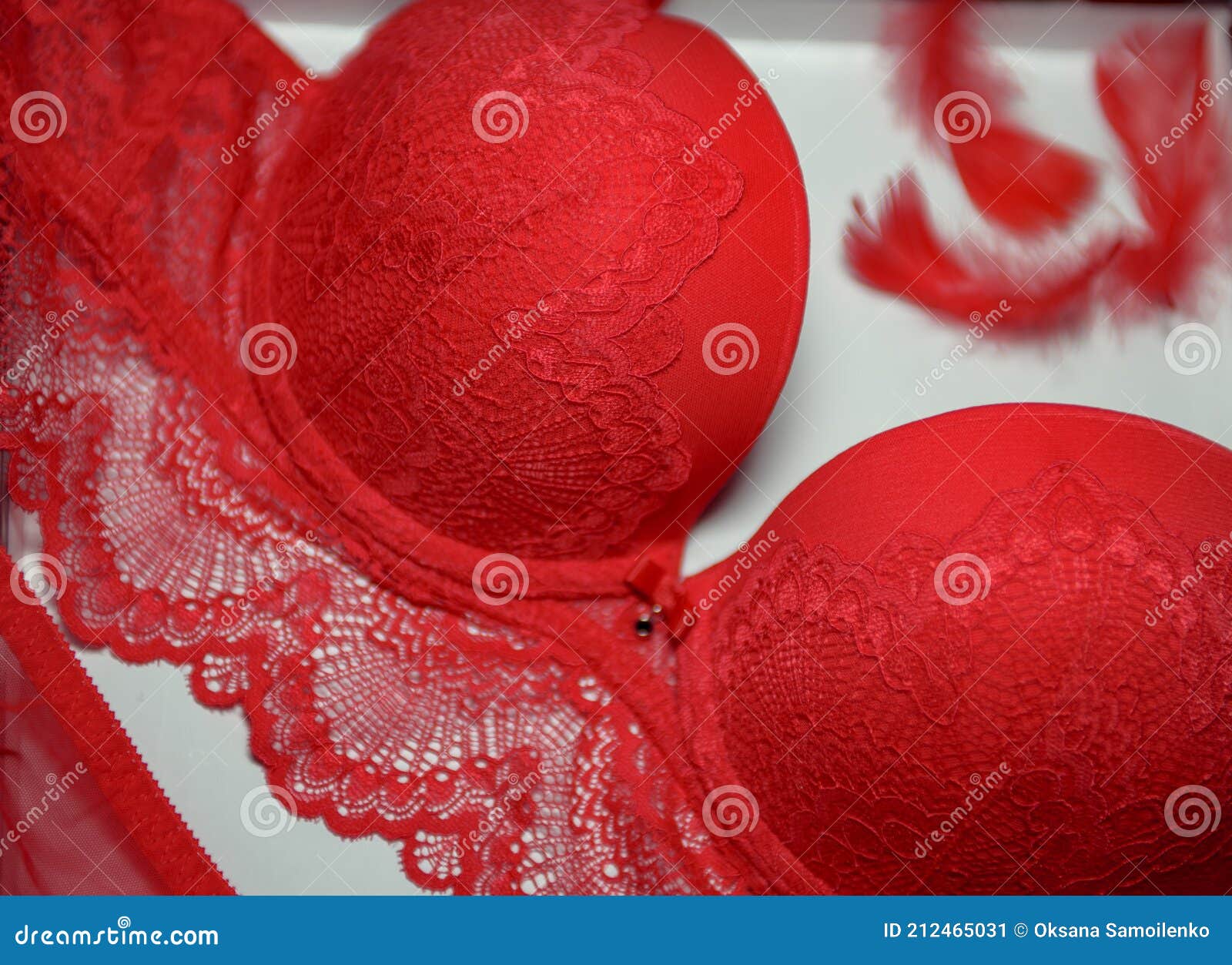 Lencería Sexy De Color Rojo Sobre Fondo Blanco. Ropa Interior Para Mujeres. Ropa Interior De Encaje Imagen de - Imagen de escarlata, blanco: 212465031