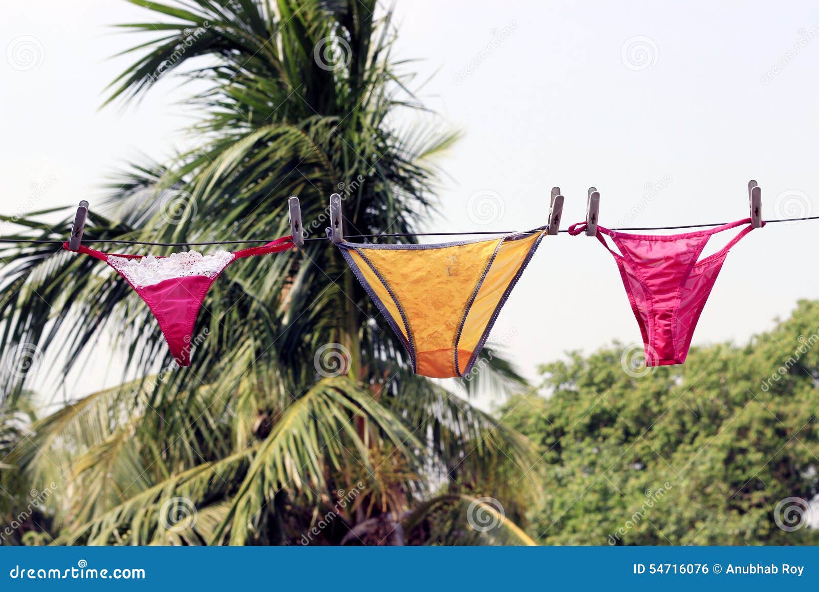 Lingerie. stock photo. Image of hang, hanging, clothesline - 54716076