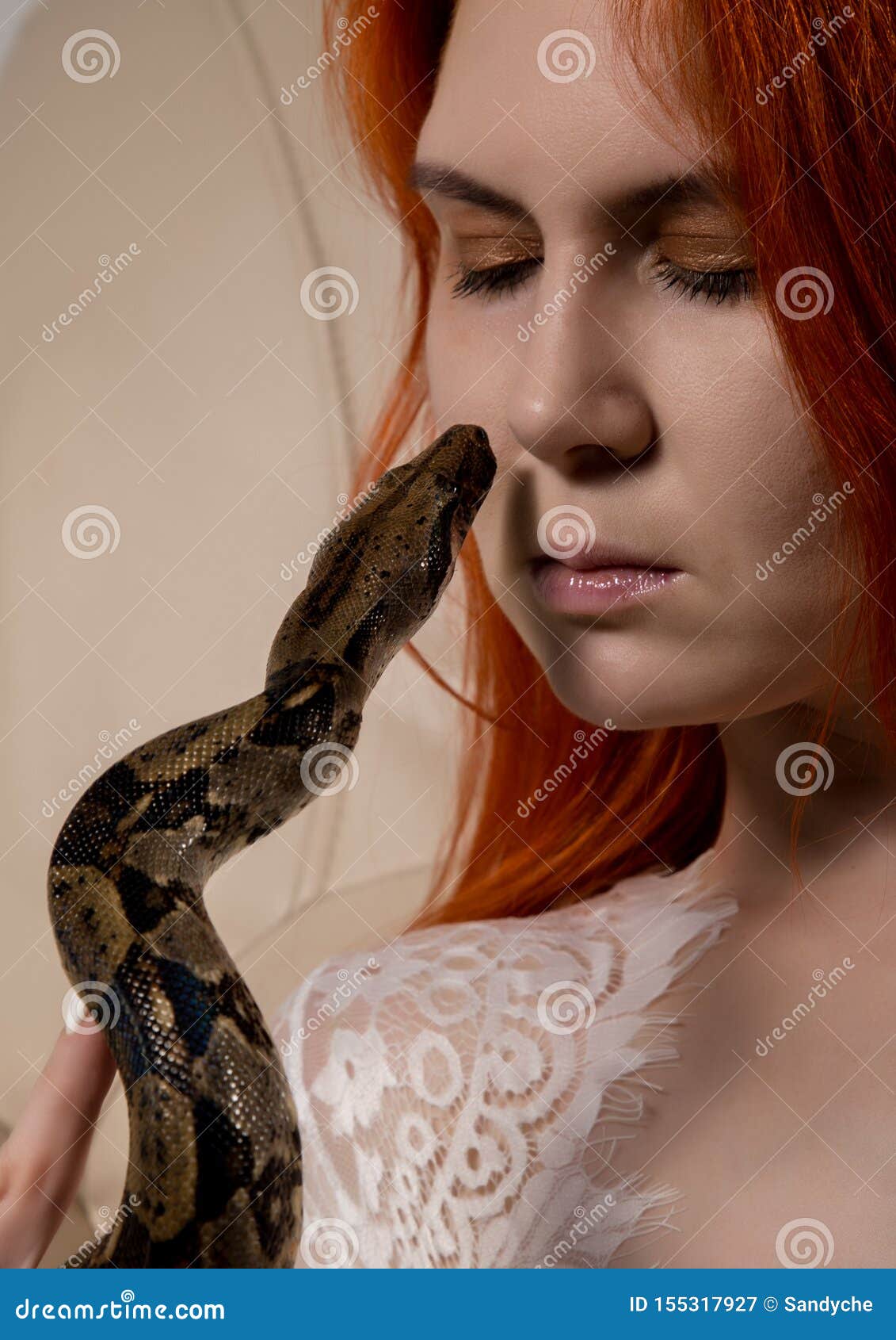 Redhead Woman Holding Snake. Close-up Photo Girl with Pygmy Python on a ...