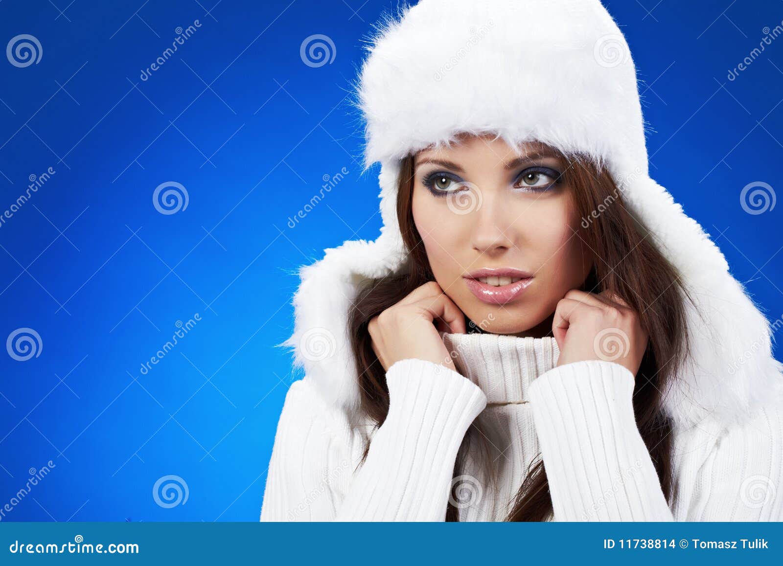 Winter girl stock photo. Image of woman, glamour, winter - 11738814