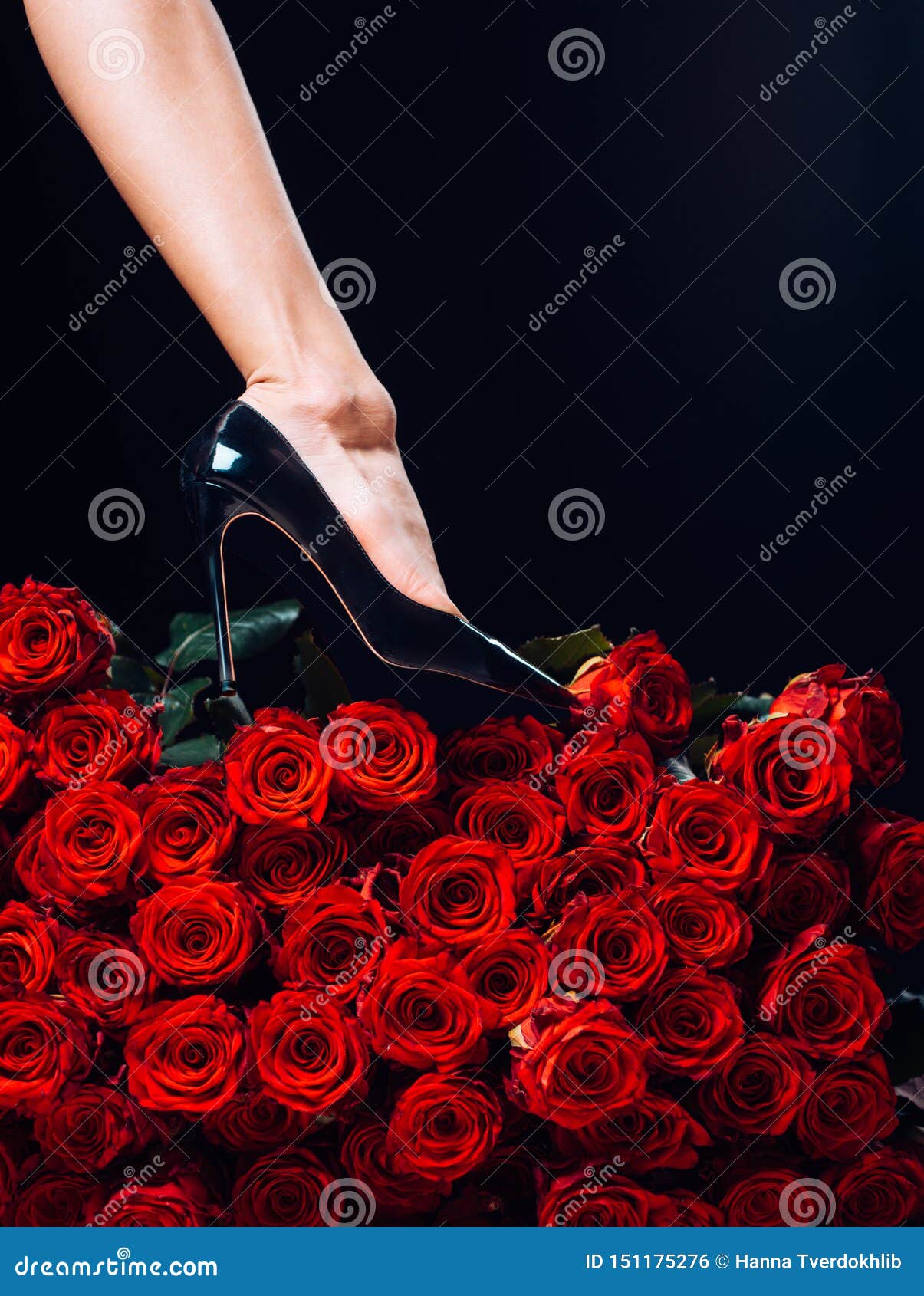 Цветы к ногам женщины. Цветы к ногам любимой женщины. Цветы к ногам женщины картинки красивые. Rose legs
