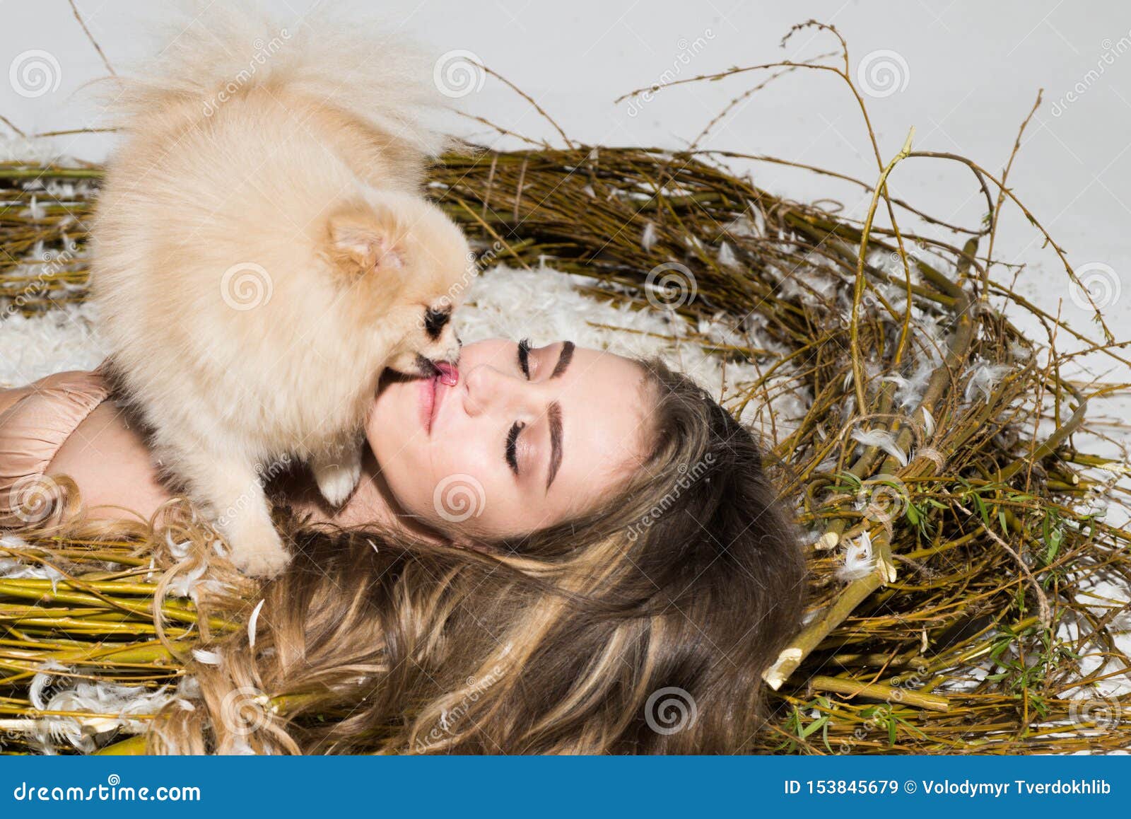 1,128 Sexy Girl Dog Stock Photos - Free & Royalty-Free Stock Photos from  Dreamstime