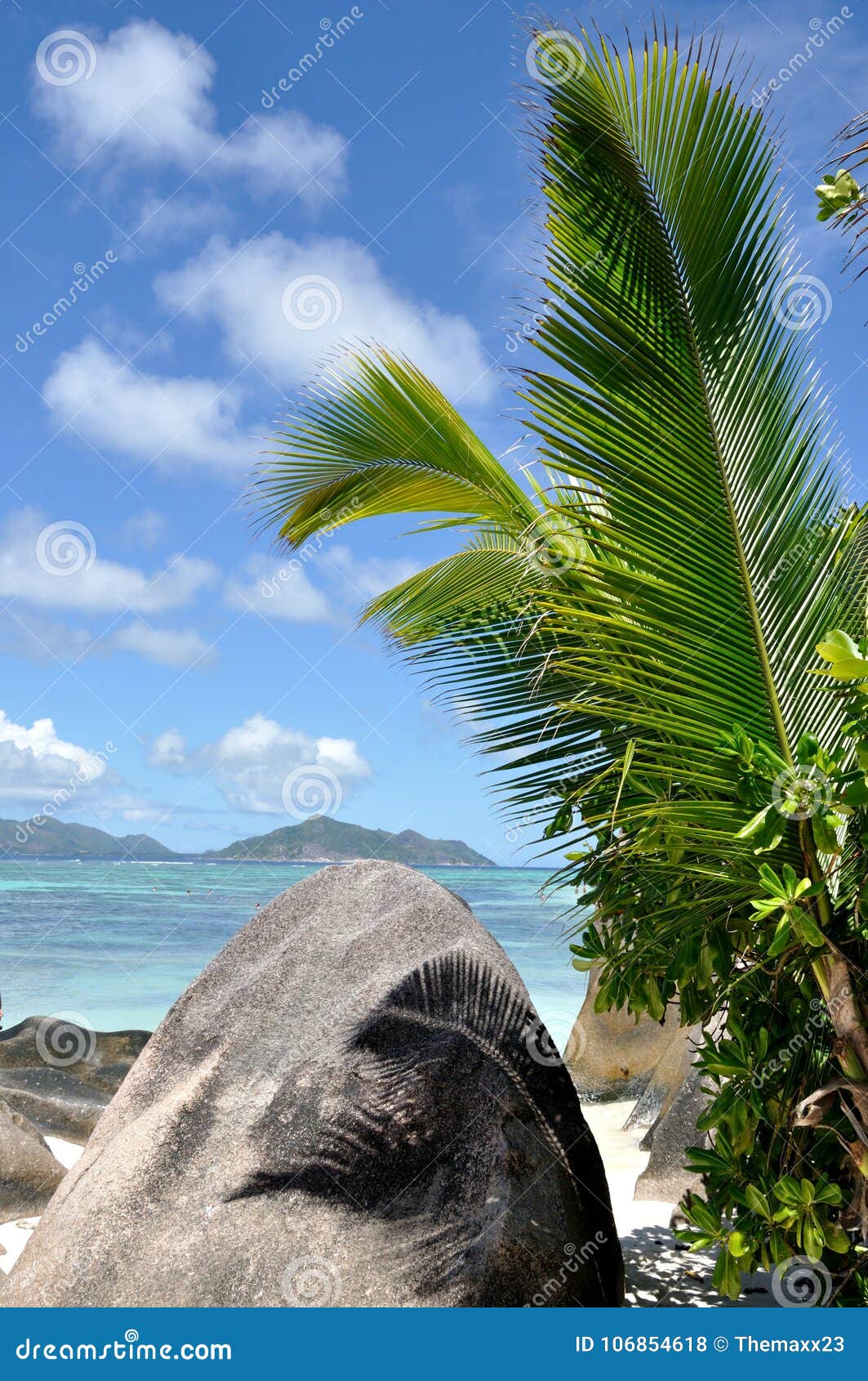 seychelles anse source d`argent palm and rock