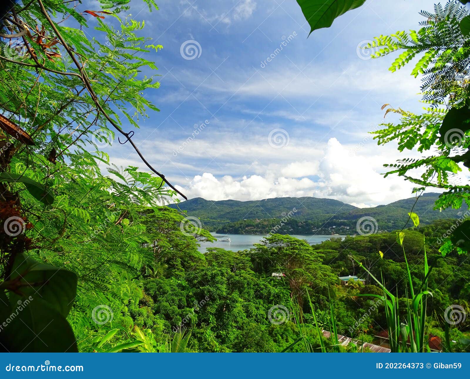 Seychelles, Island of Mahé, Seychelles Nature Park Stock Image - of botany, flora: 202264373