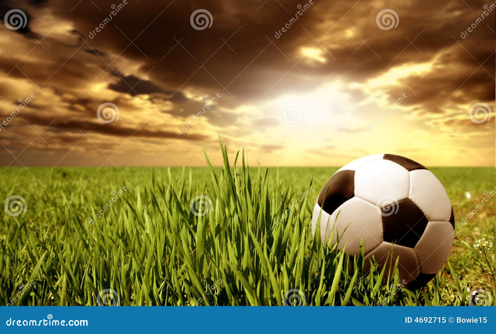 Una sfera di calcio in un campo di erba