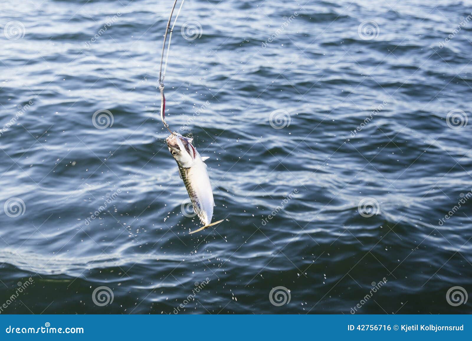 JTKREW 4pcs Esche Piume Per Pesca - Artificiali Pre Legate Con Perline Luminose | Per Sgombri, Merluzzi E Coste - Foto 7