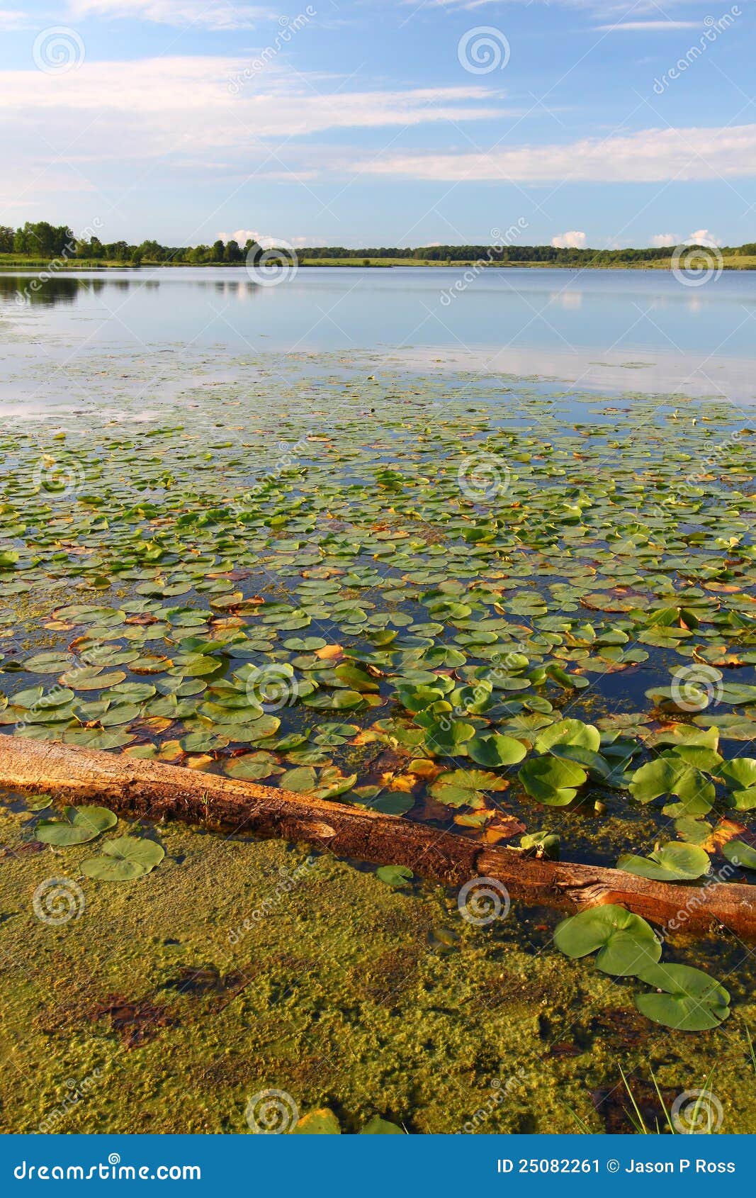 Shabbona Lake State Park stock image. Image of county 25082261