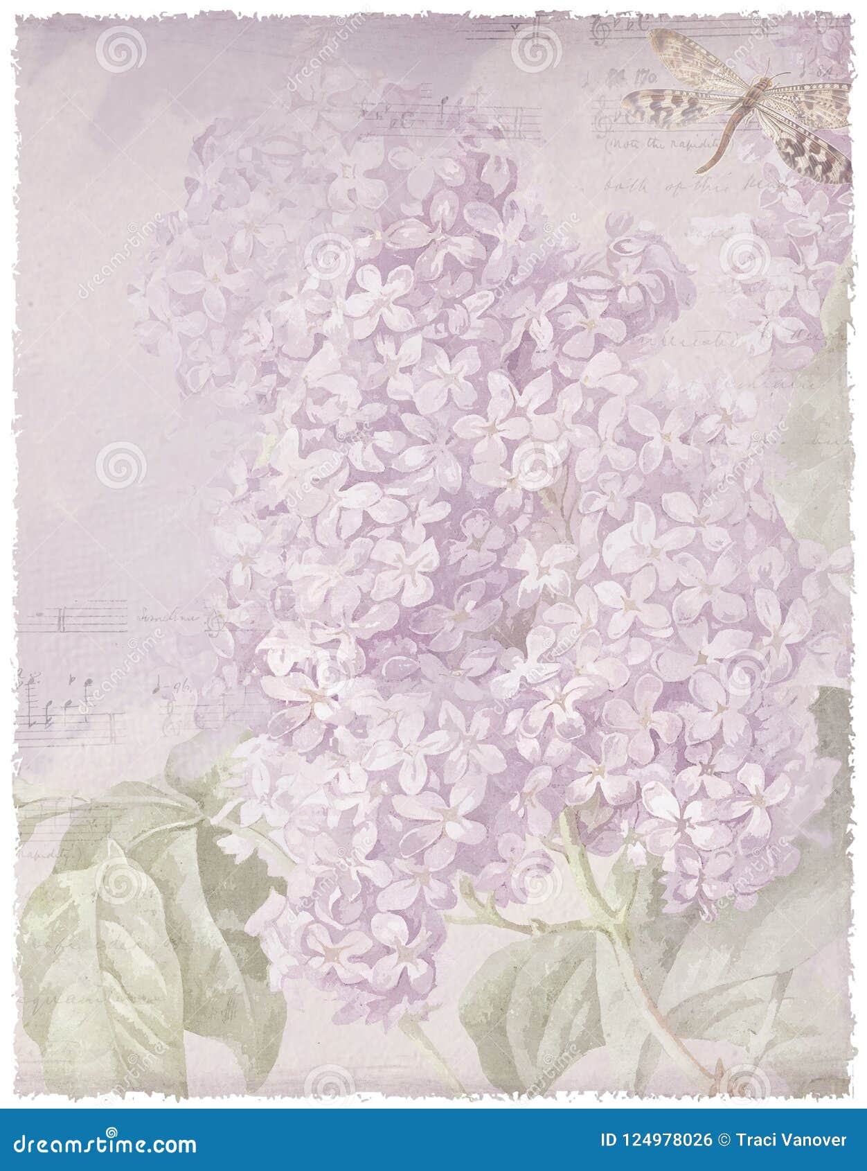 Hãy chiêm ngưỡng sự pha trộn độc đáo giữa hình nền giấy cổ Pháp với hoa oải hương màu tím. Các màu sắc rực rỡ và hài hòa sẽ khiến bạn cảm thấy thư giãn và tươi mới. Hãy nhấp chuột để xem những điều thú vị đang chờ đón bạn.