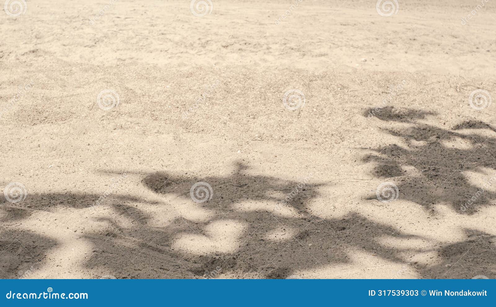 shade tree on sandy beach