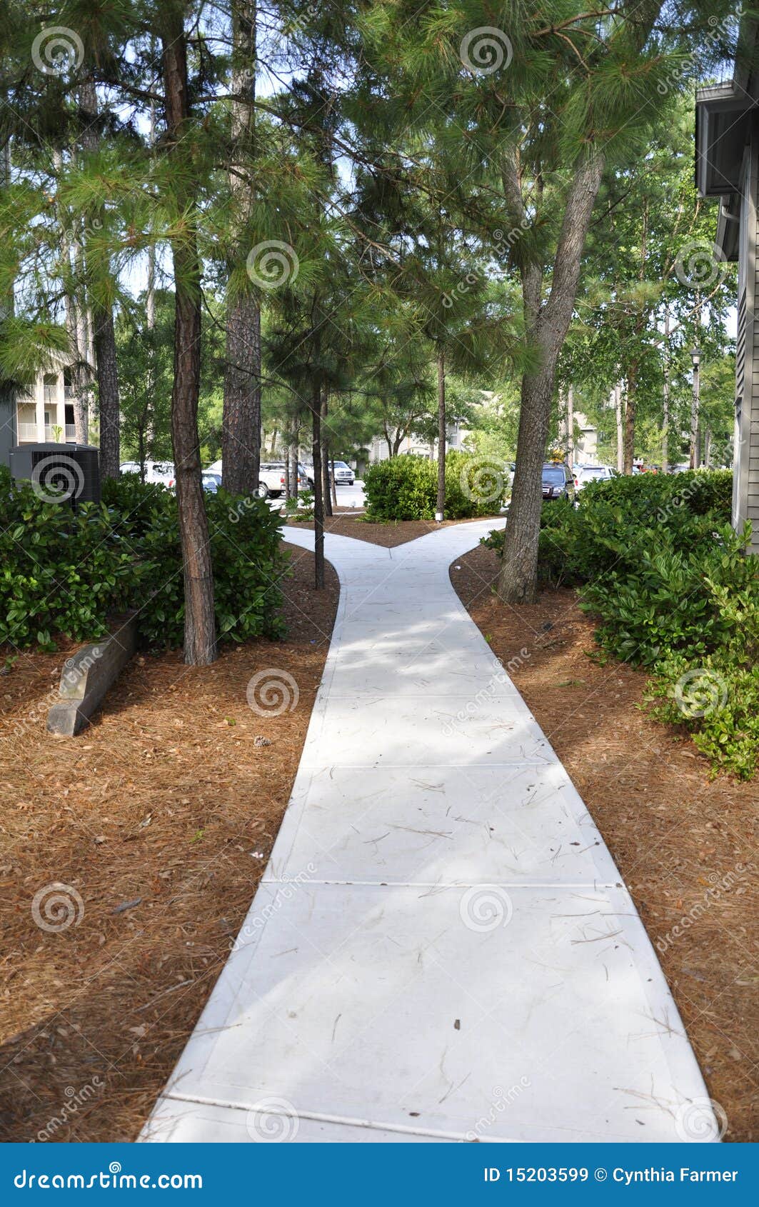 shaded concrete sidewalk