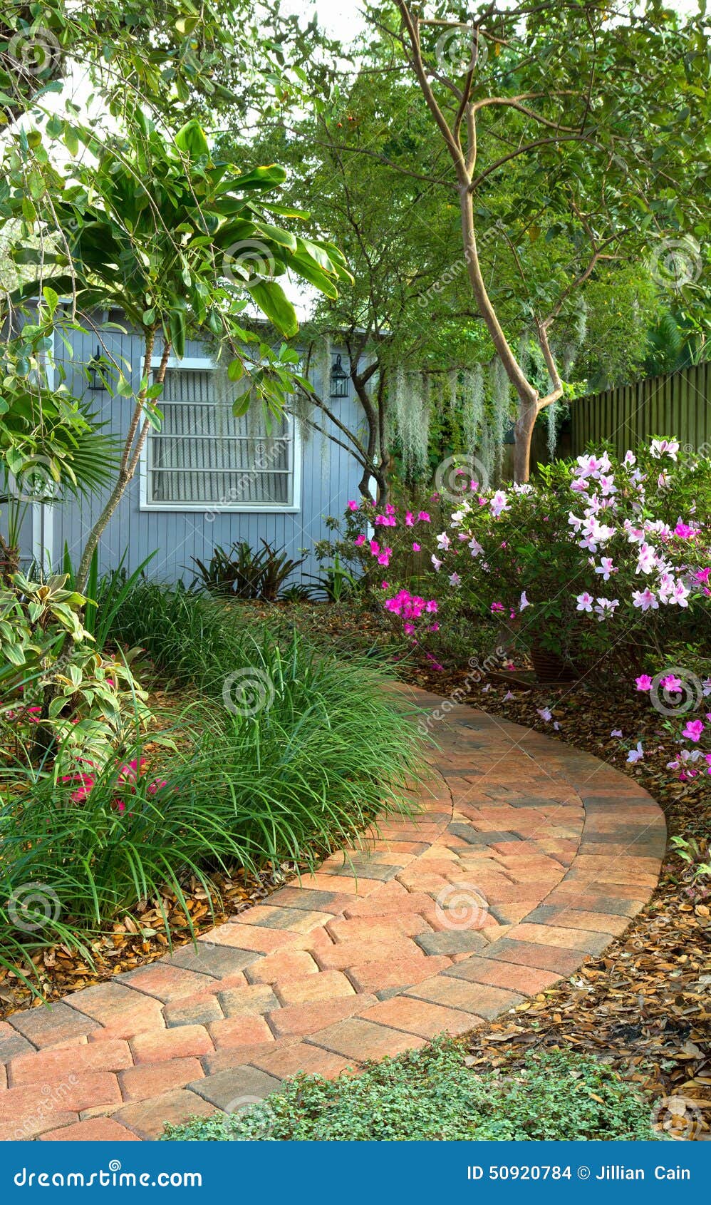 shaded garden path