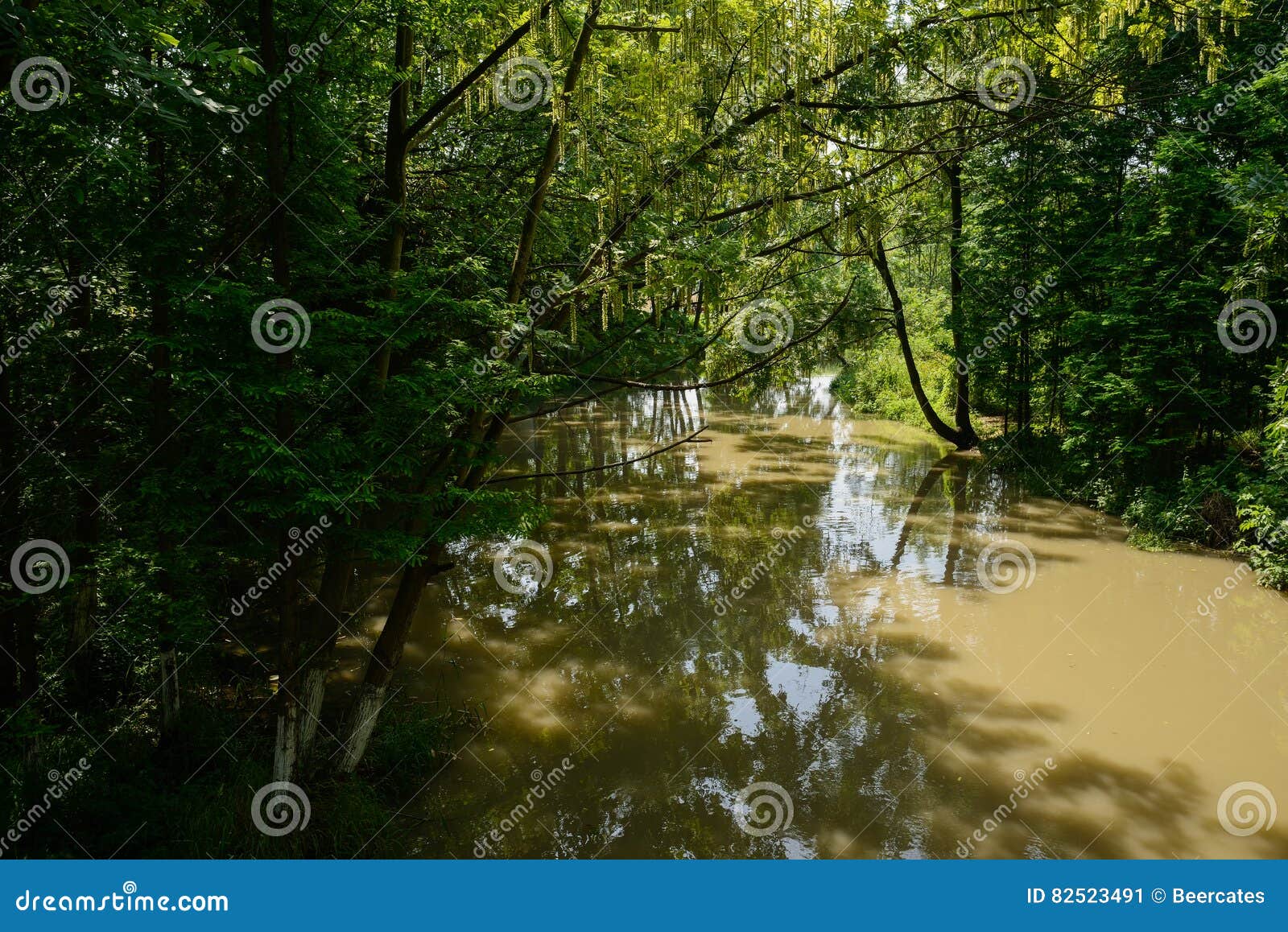Shaded Rivulet Stock Photos Free & RoyaltyFree Stock Photos from