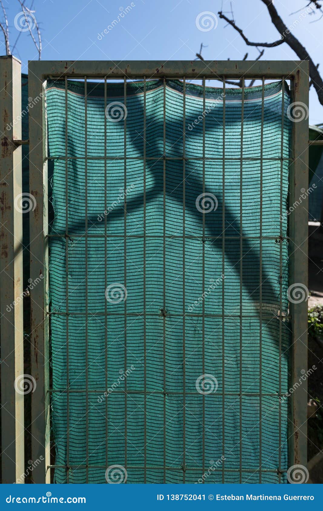 the shadow of the branch of a tree projected on the fabric of green raffia