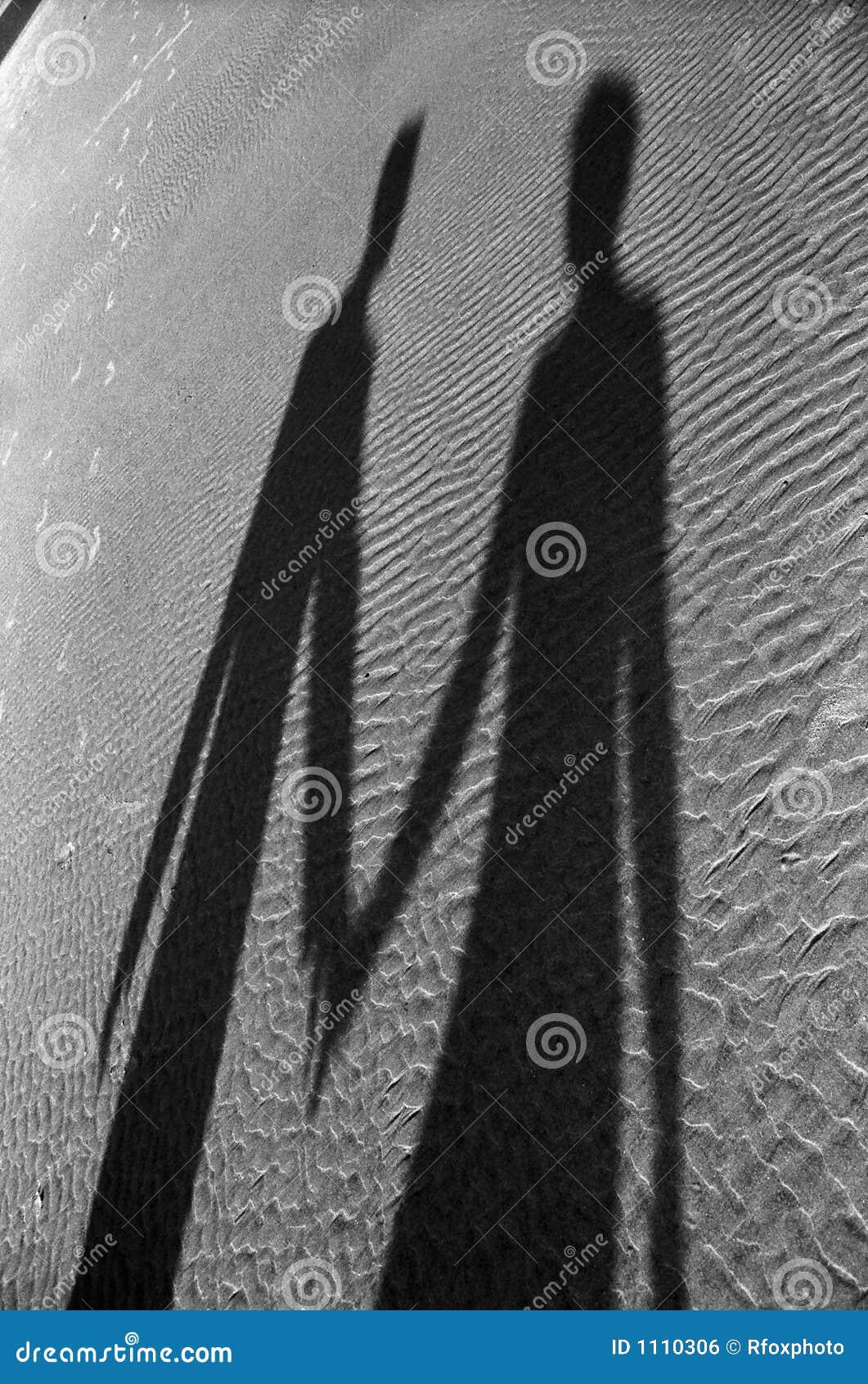 shadow of couple on beach