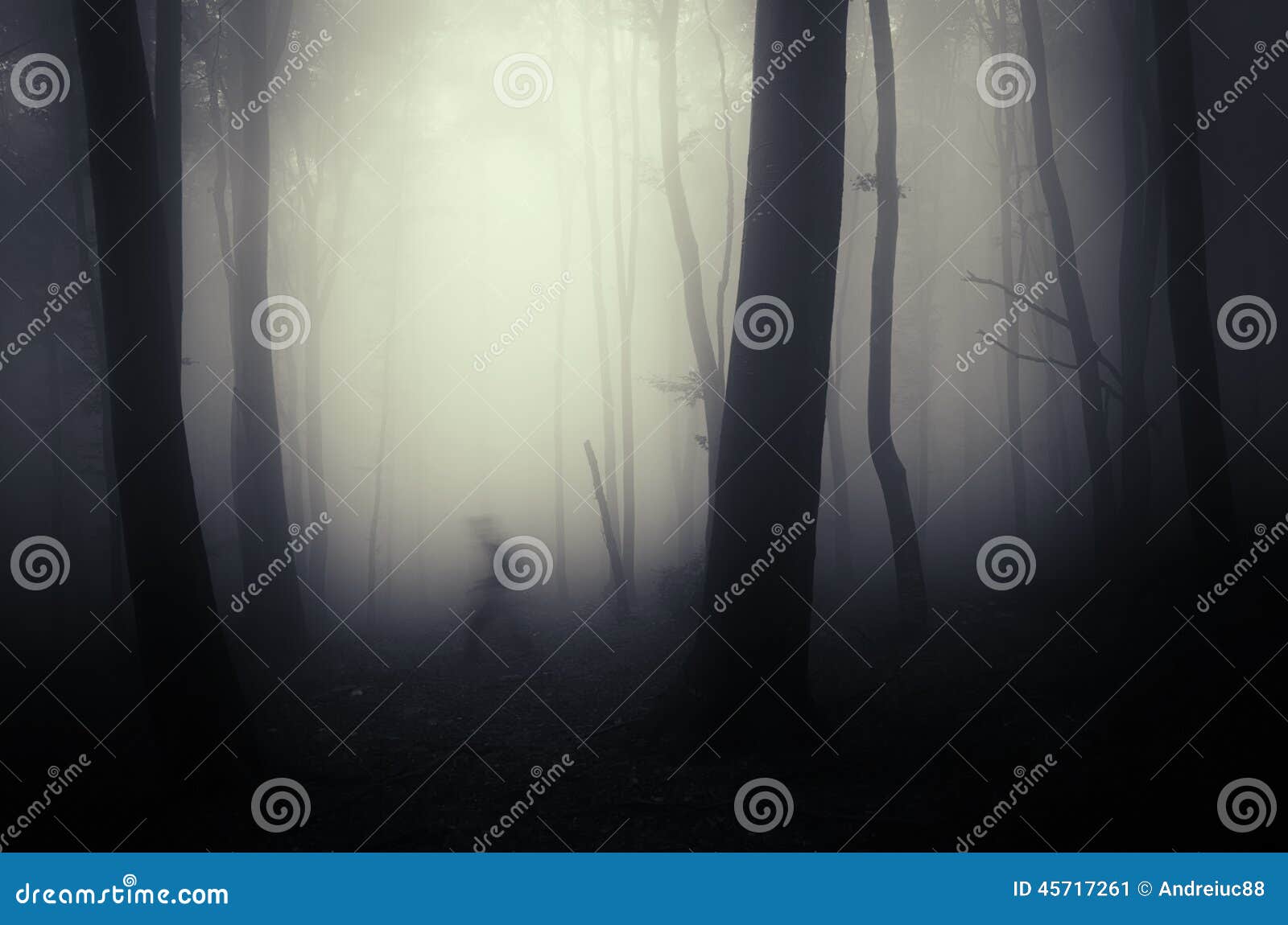 shadow ghost on halloween in dark forest with fog