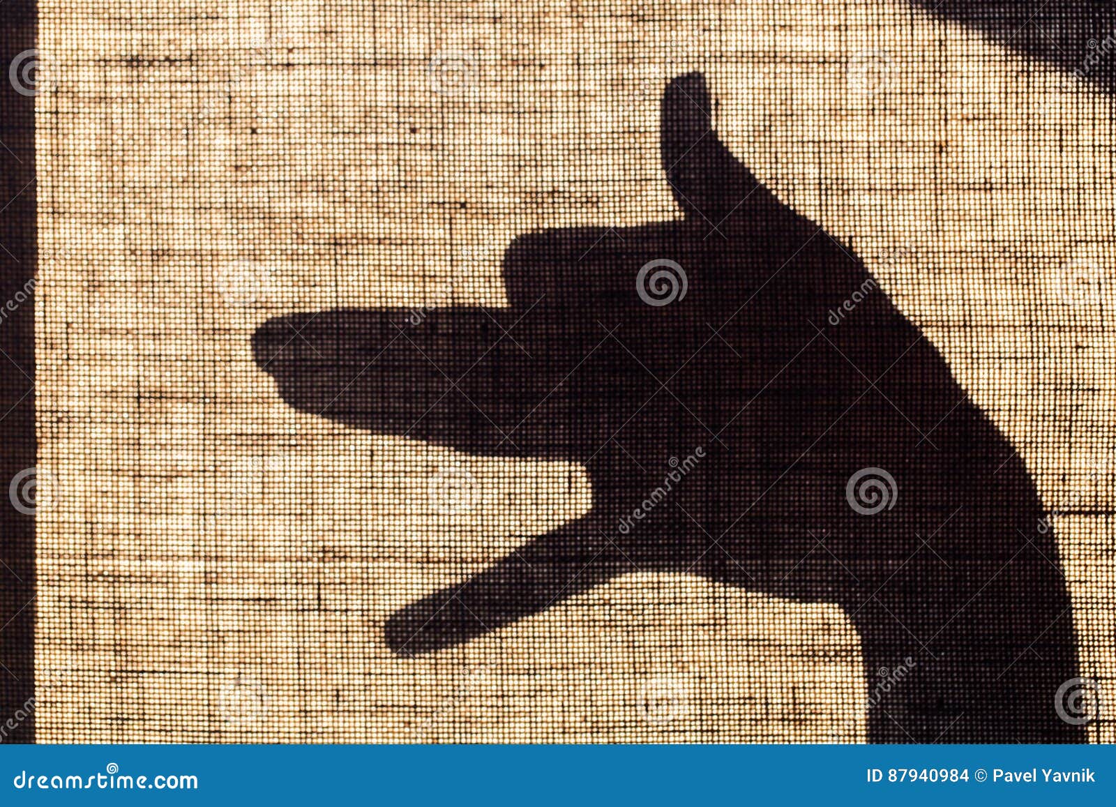 The Shadow of the Hand and Fingers in the Form of a Dog Shaped Mark on Flax  Canvas. Stock Photo - Image of action, imagination: 87940984