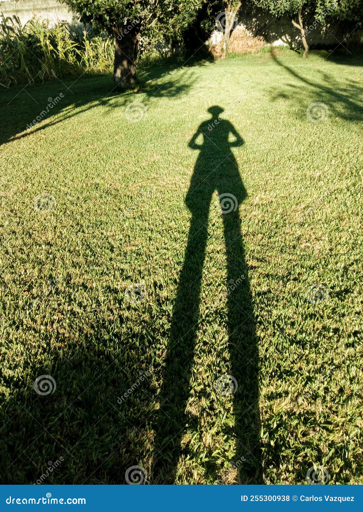 shadow of man at sunset