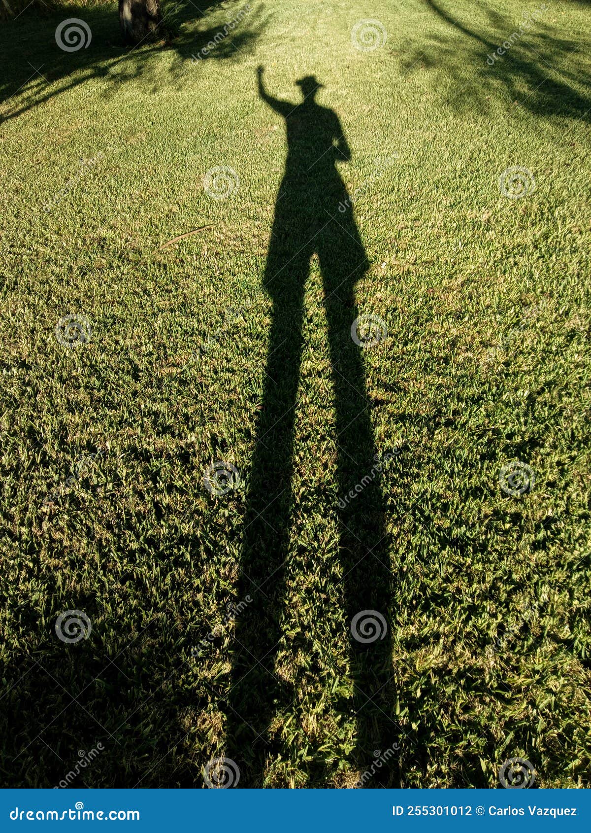shadow of man at sunset