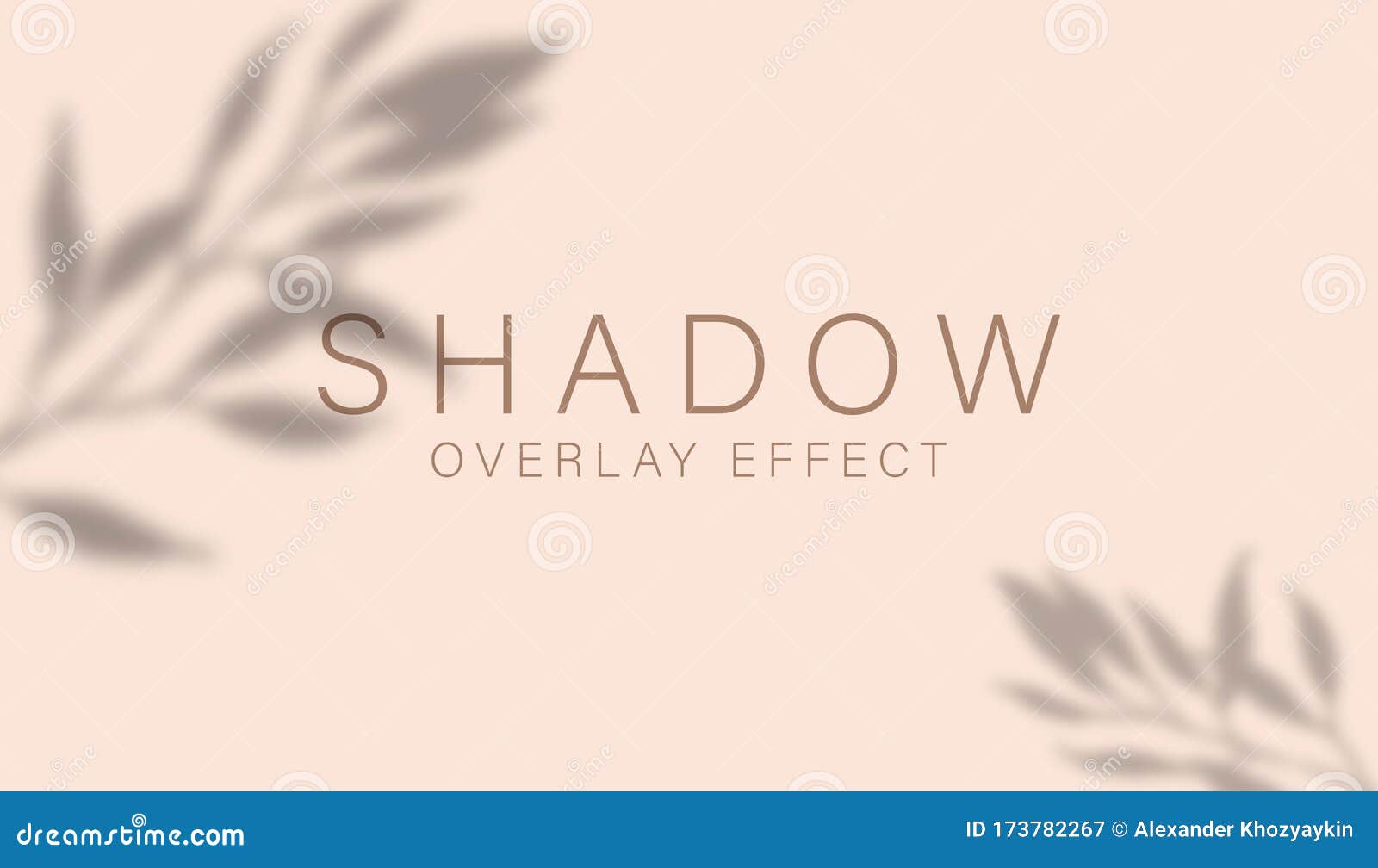 shadow overlay effect. transparent soft light and shadows from branches, plant, foliage and leaves. mockup of