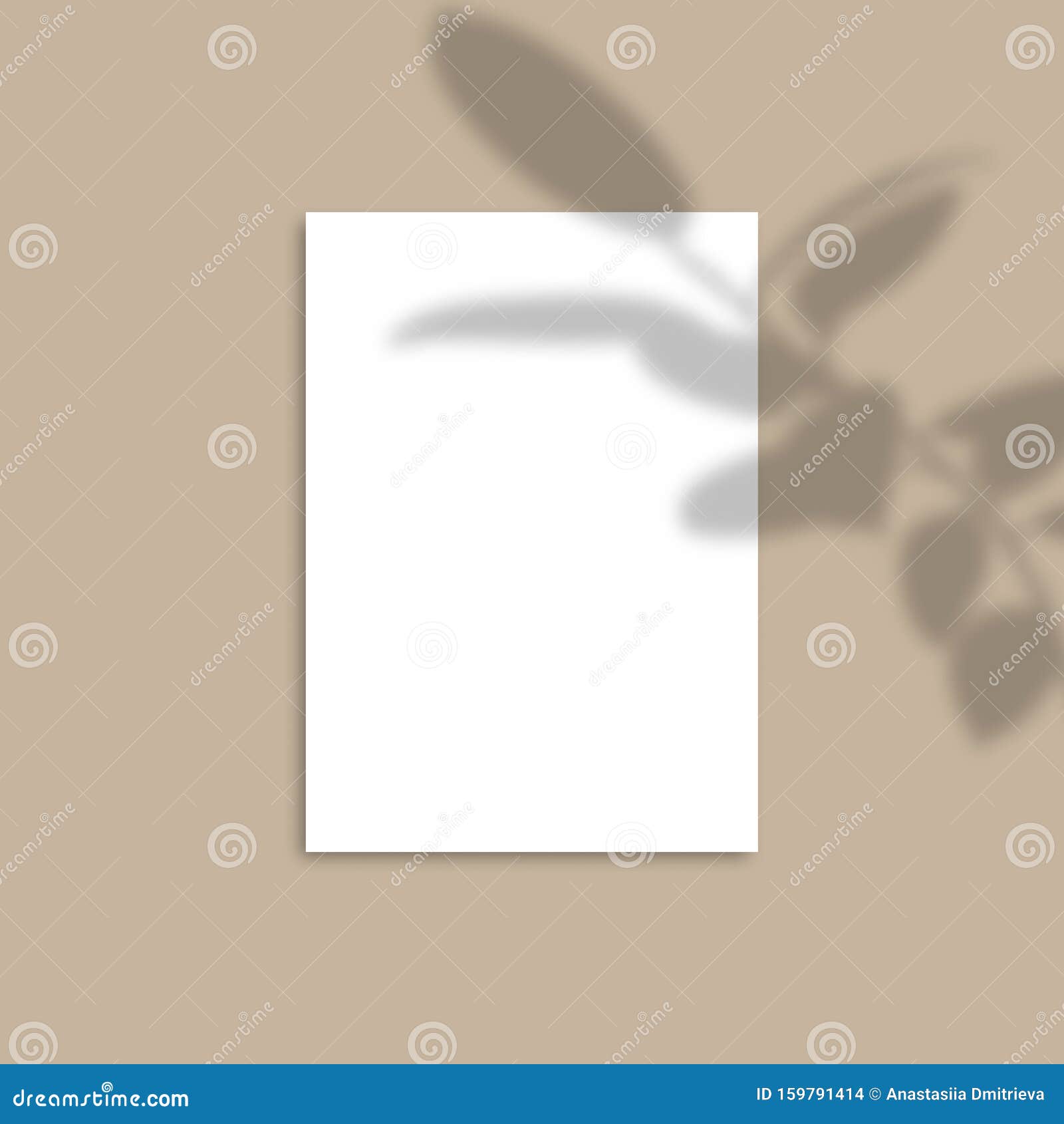 Download Shadow Overlay Plant Vector Mockup A4 Paper Sheets Shadows Overlay Effects Of A Leaf Stock Vector Illustration Of Message Business 159791414 Yellowimages Mockups