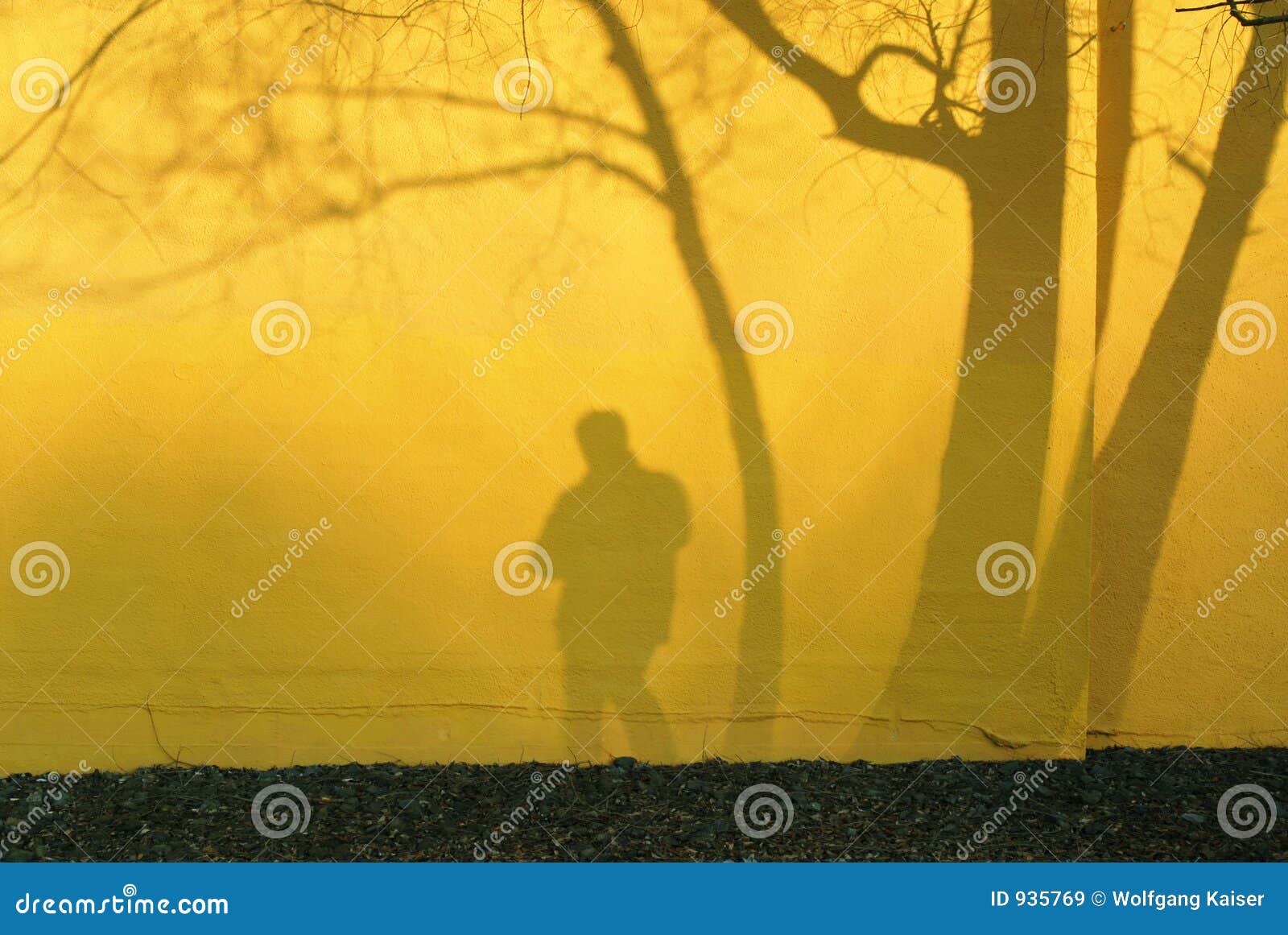 shadow of photographer