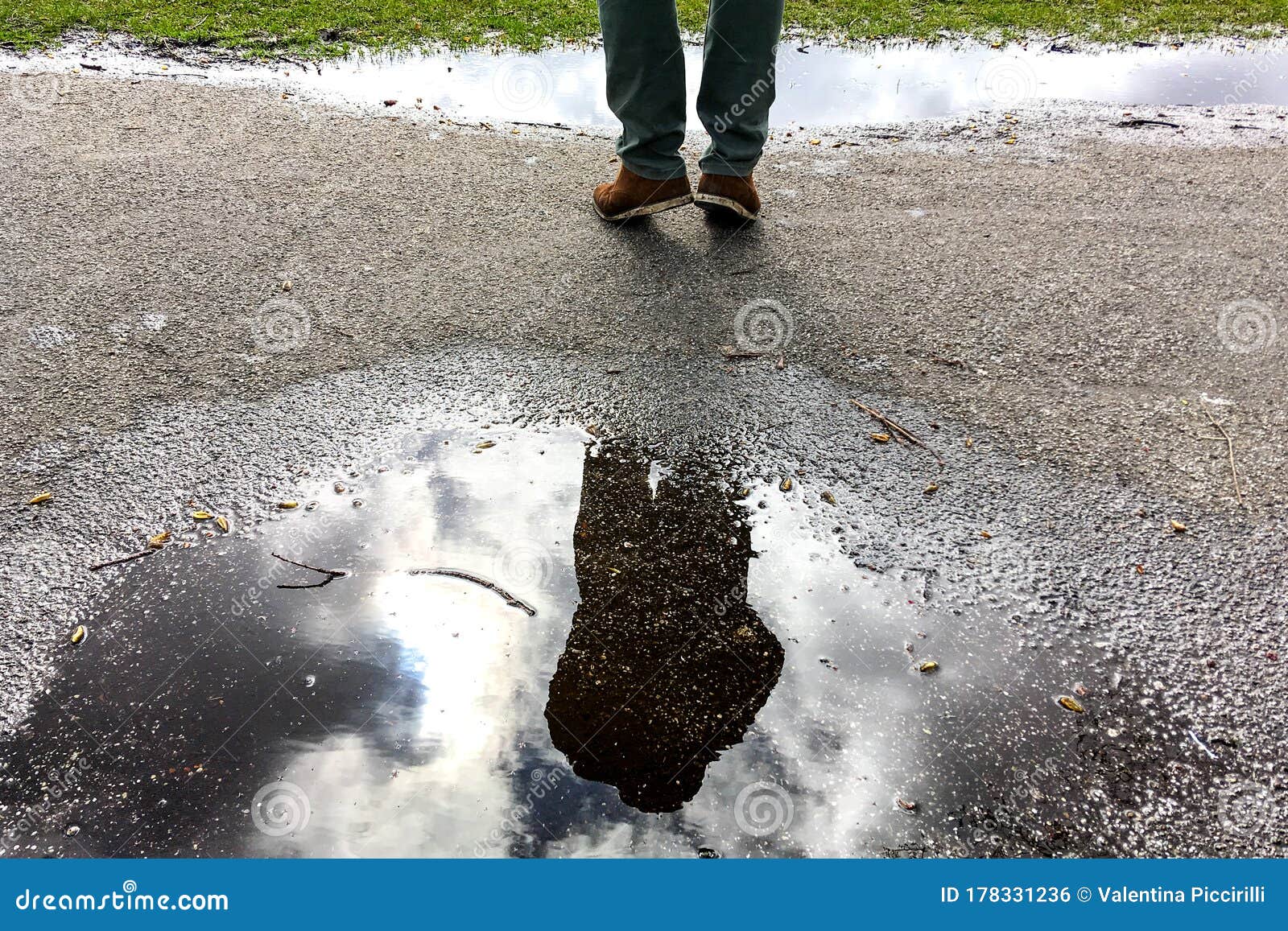 the shadow reflected in the puddle