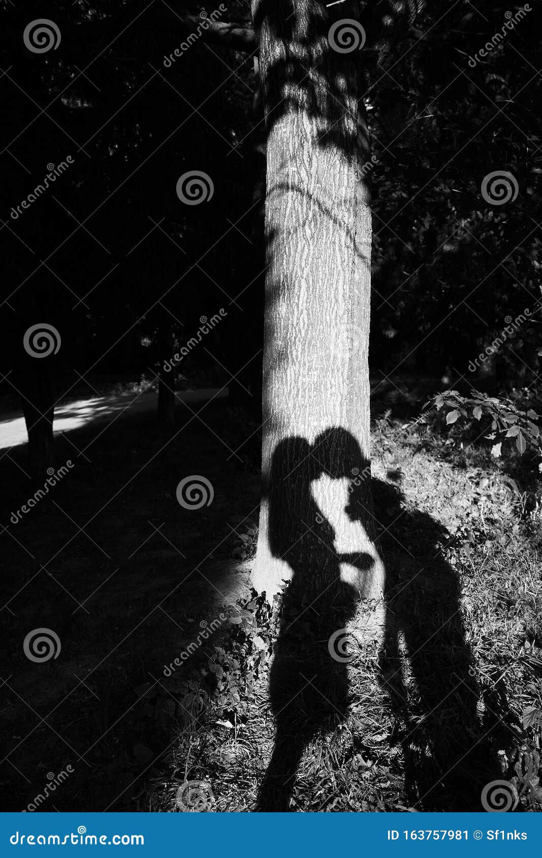 A Shadow on Tree Beautiful Couple Kisses, Bw Stock Image Image of cute, colorful 163757981