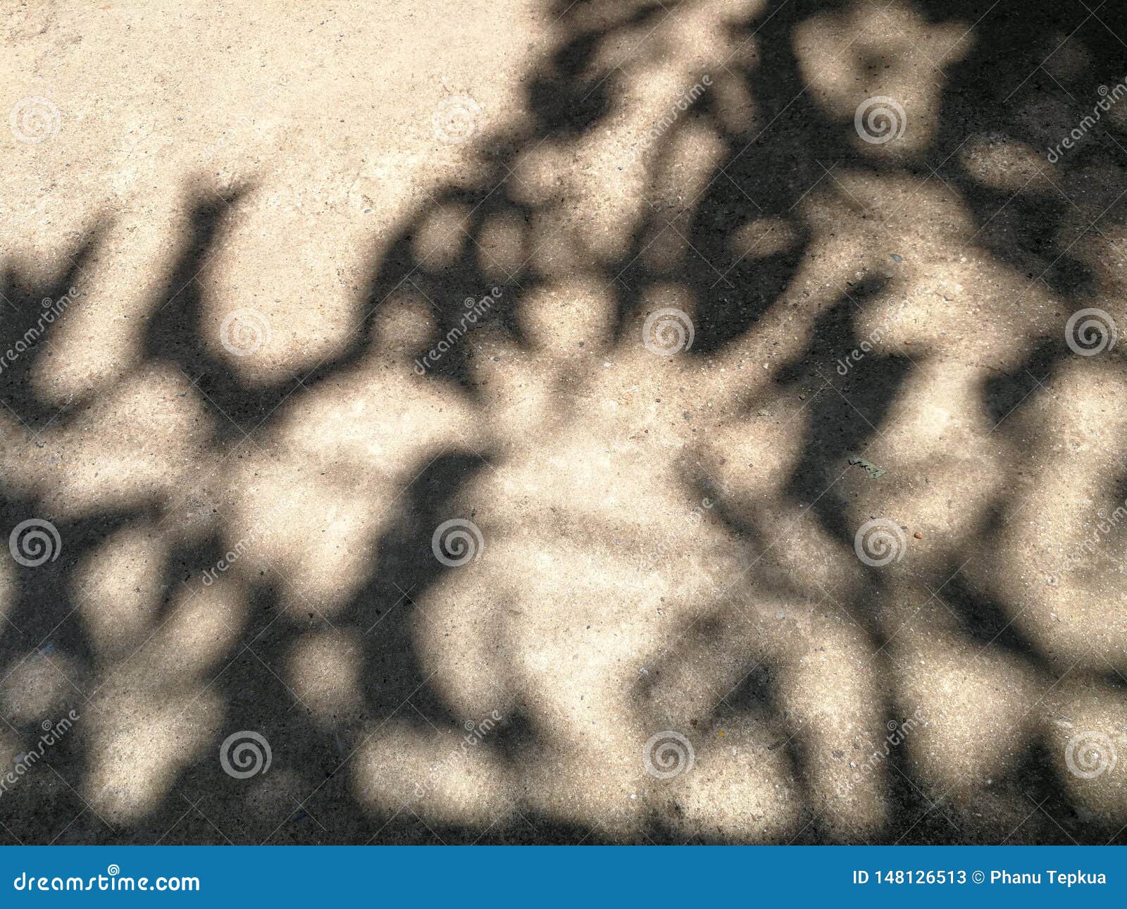 Shadow of the Tree on Grunge Concrete Background Stock Image - Image of ...