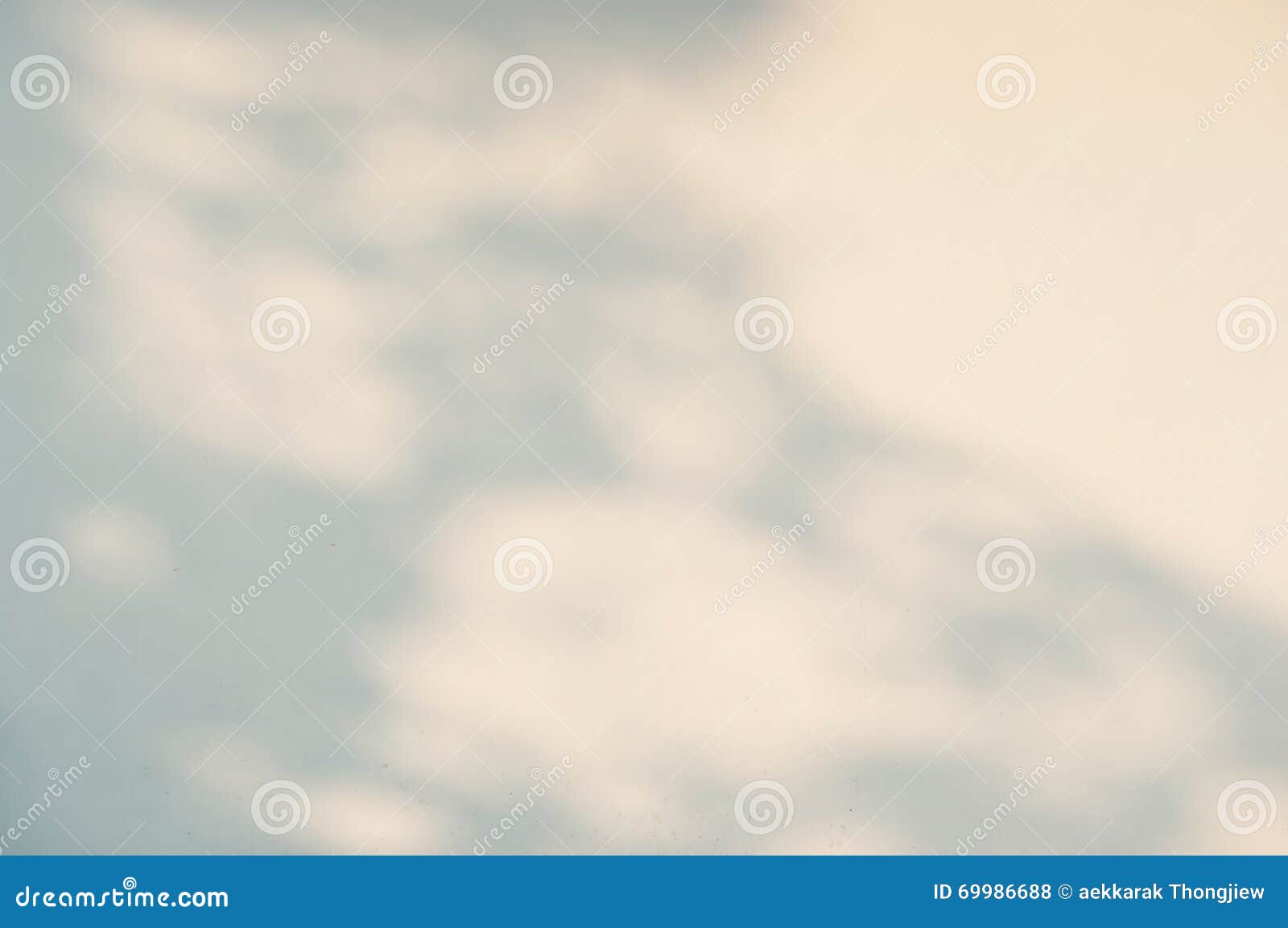 shadow of tree and plants from sunlight on white wall background