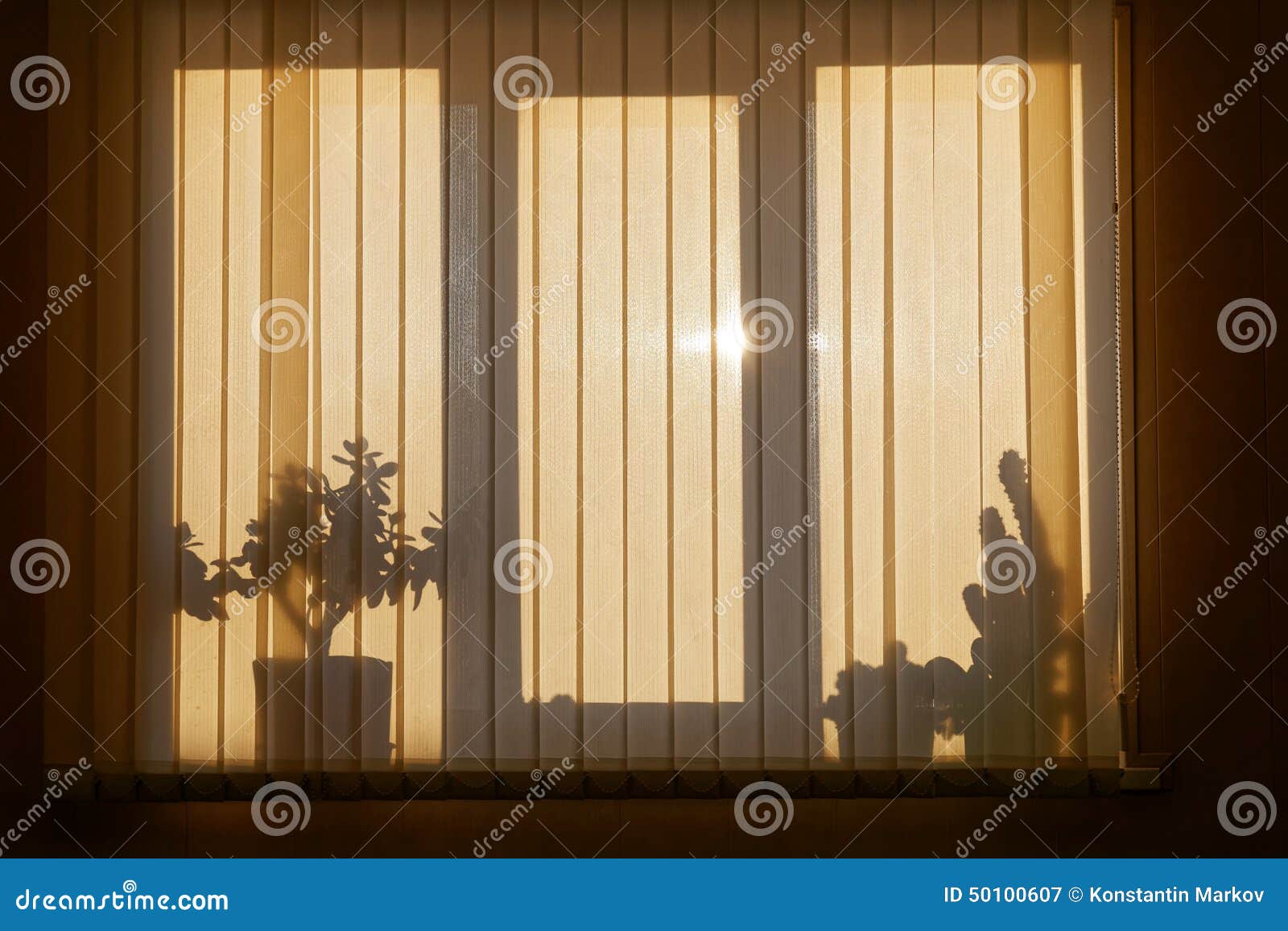 Shadow on Window with Blinds Stock Image Image of sunlight