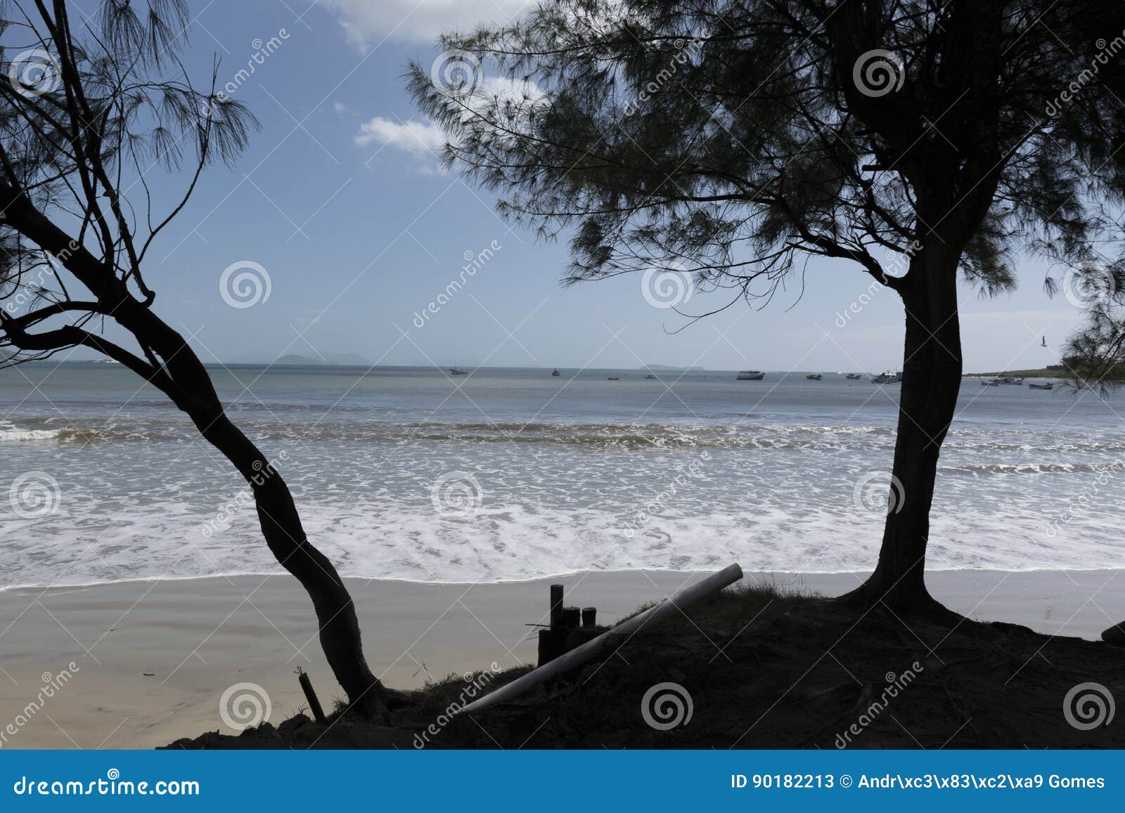 shadows on the beach