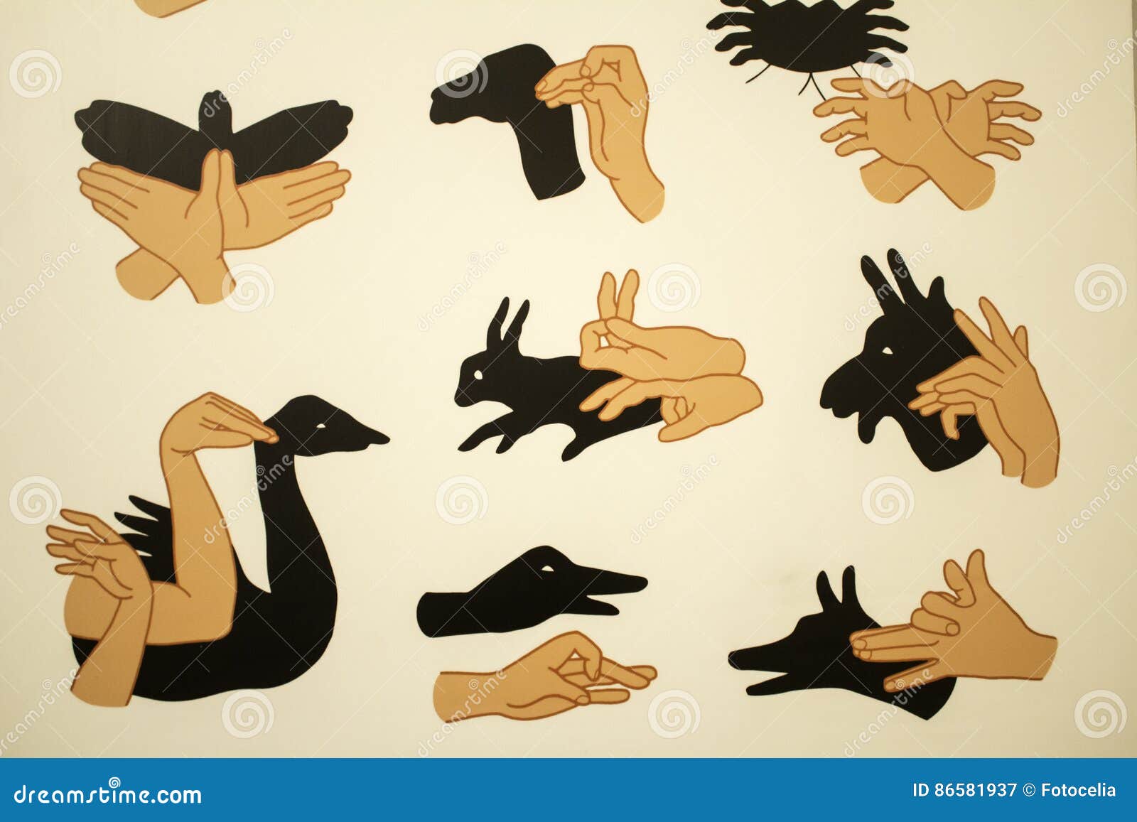 Bird Puppets Stock Illustrations – 64 Bird Puppets Stock Illustrations,  Vectors & Clipart - Dreamstime