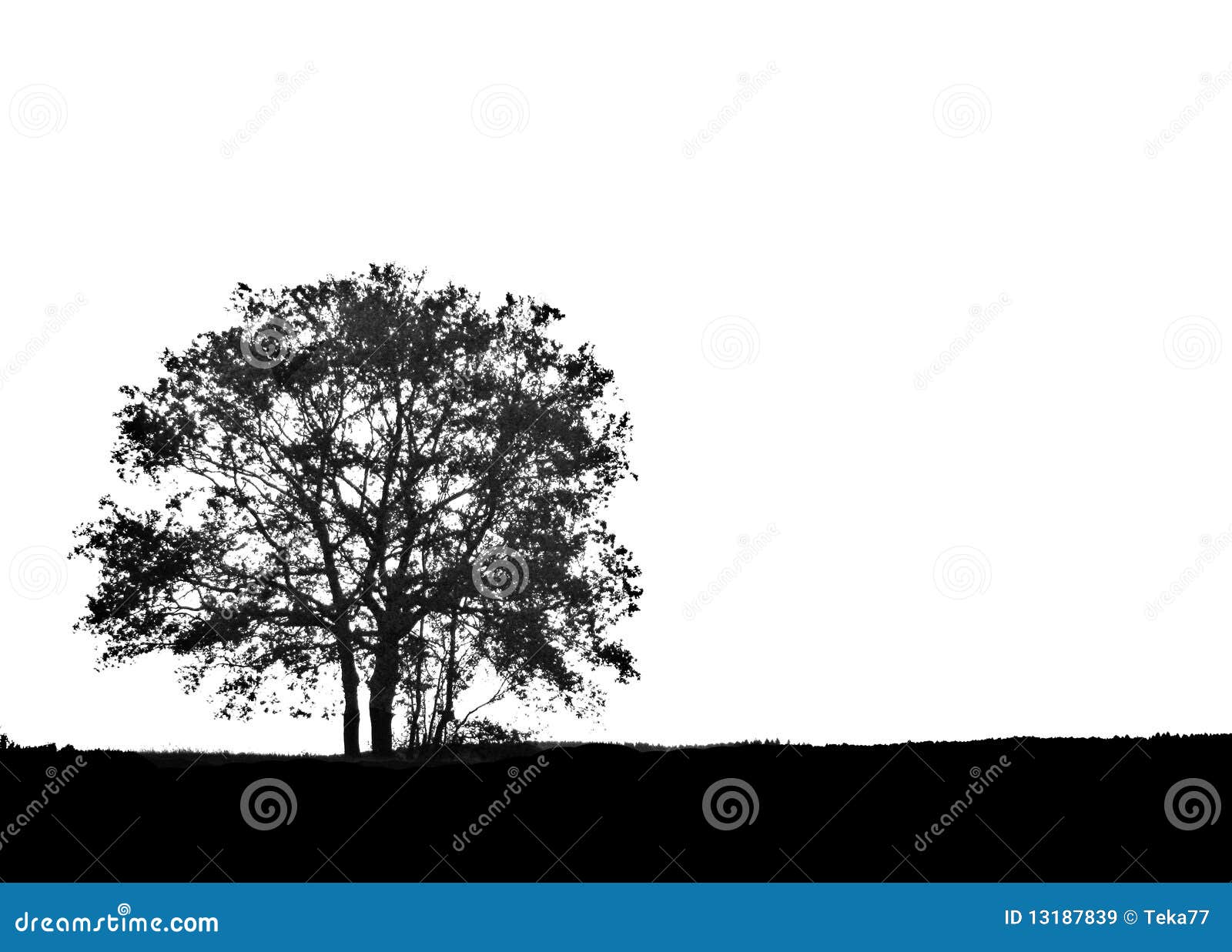 Shadowtree. An black tree in front of a plain white background, ideal for big illustrations
