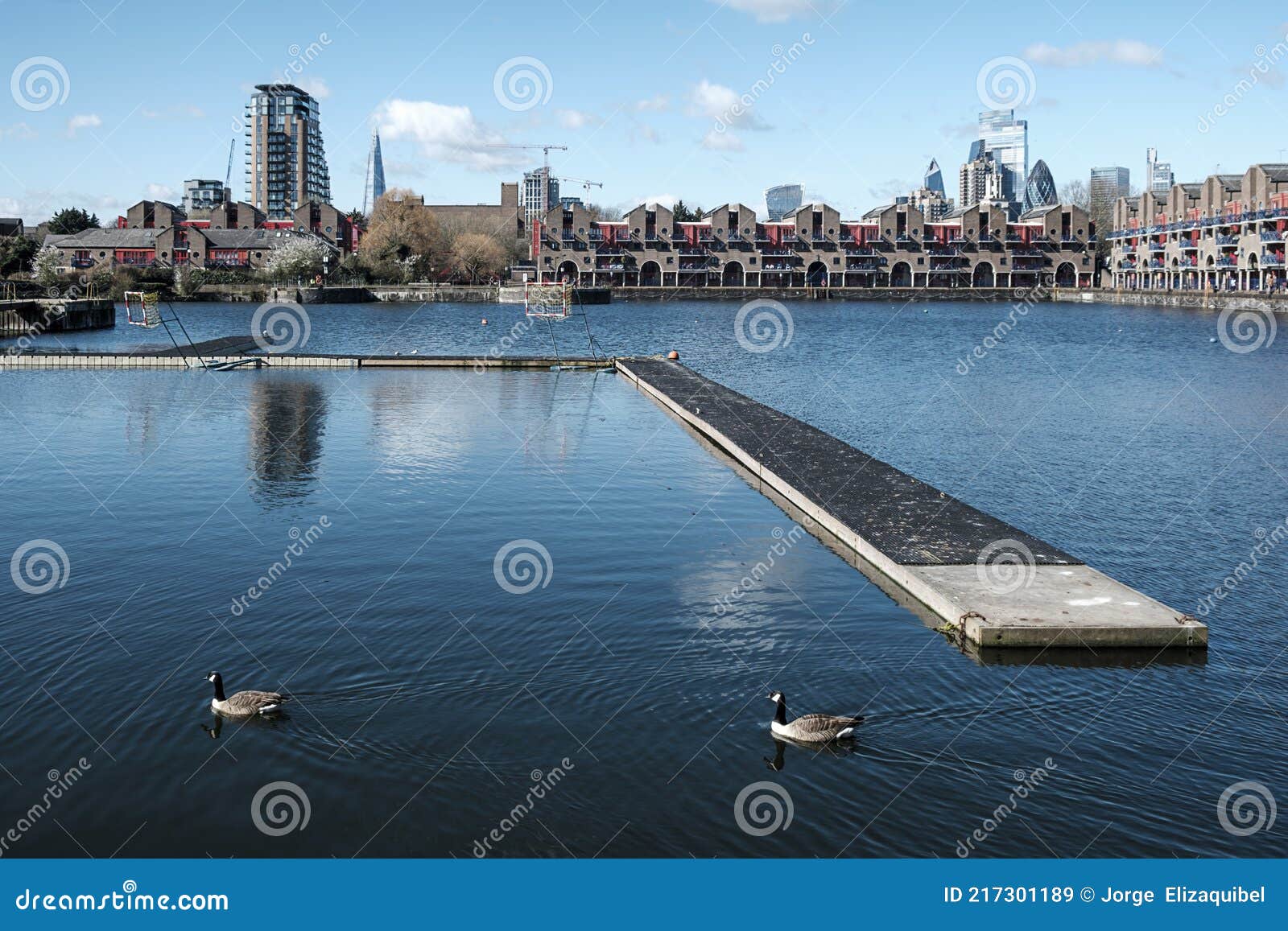 shadwell basin, london, in a beautiful spring morning. city buildings on the background. ducks on the foreground