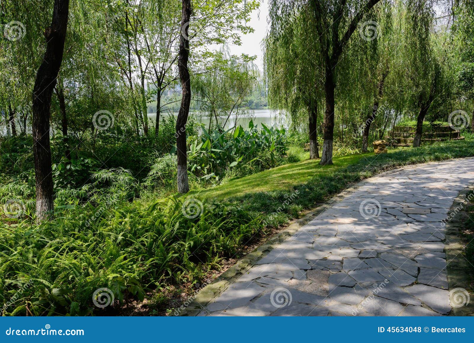Shady Lakeside Pavement in Sunny Summer Stock Photo Image of