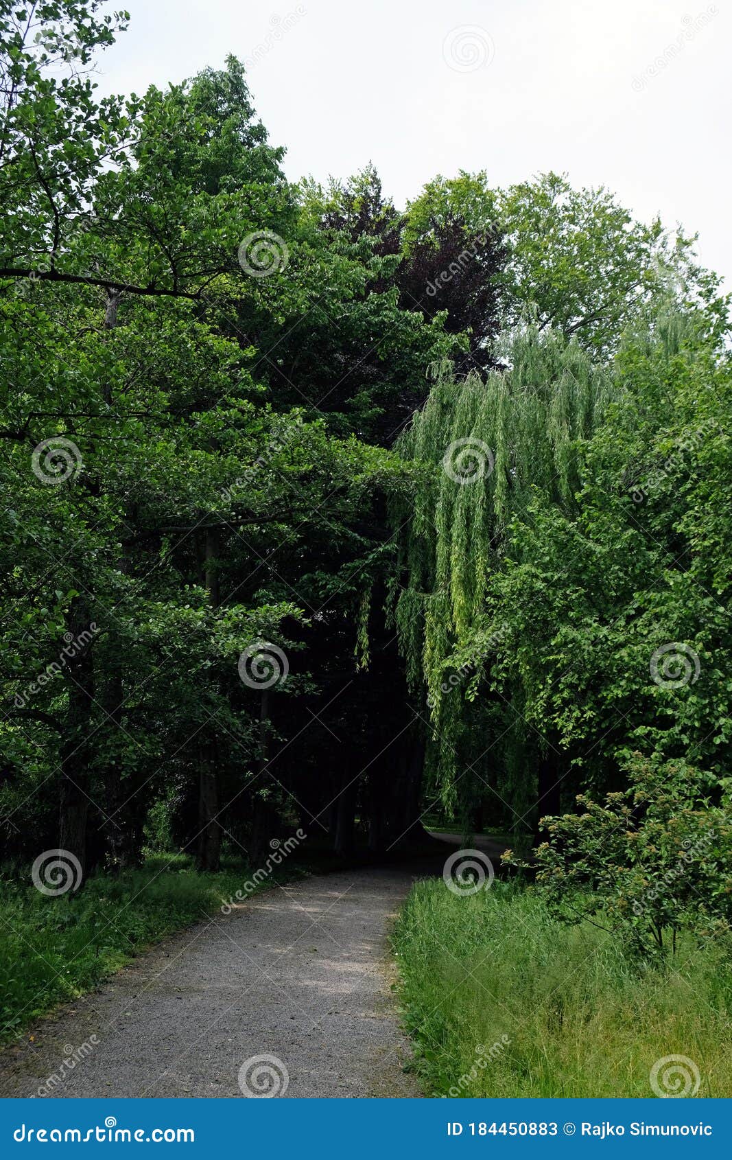Shady Path through a Park in the Springtime Stock Image Image of