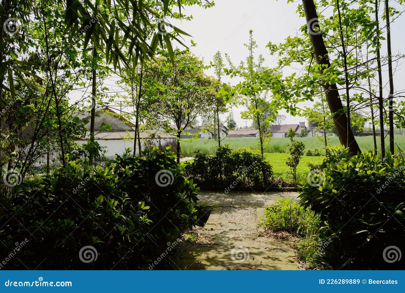 Shady Path in Village in Sunny Spring Stock Image - Image of sichuan ...