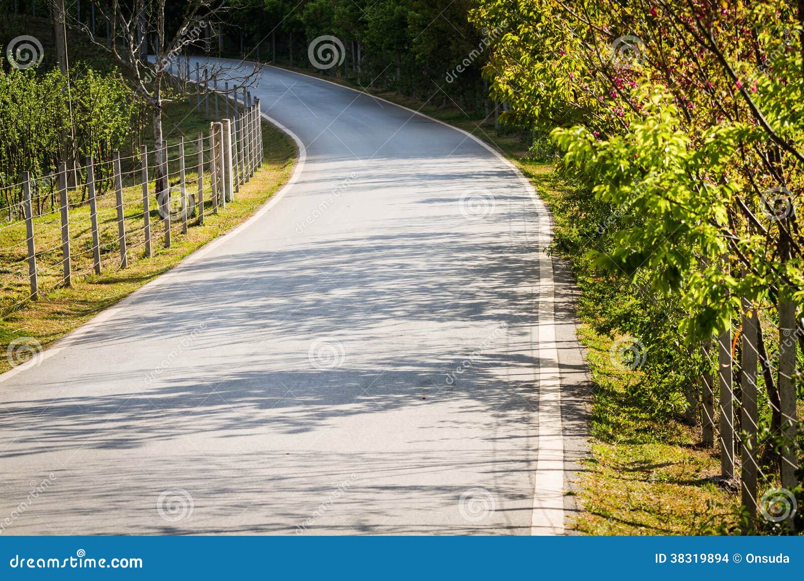 Shady road stock photo. Image of highway, travel, shady 38319894