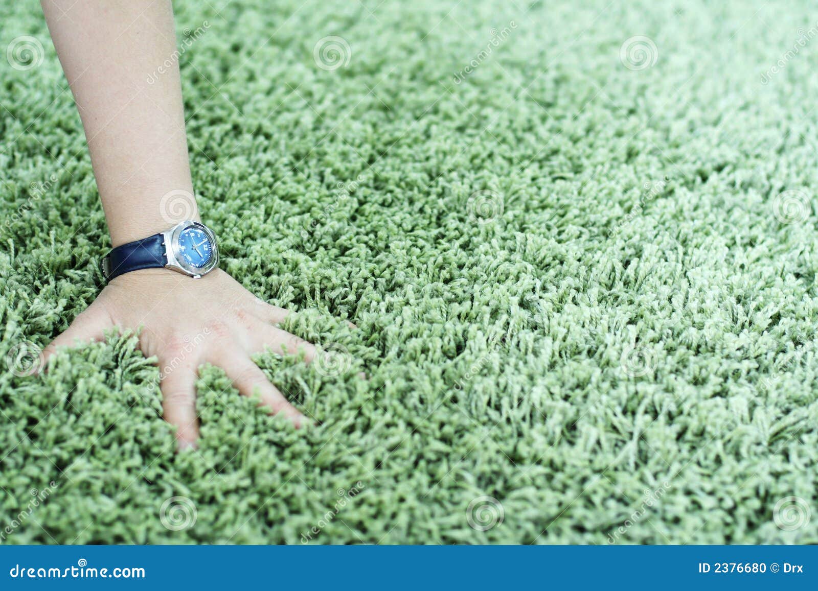 1,507 Thick Carpet Design Stock Photos Free & RoyaltyFree Stock