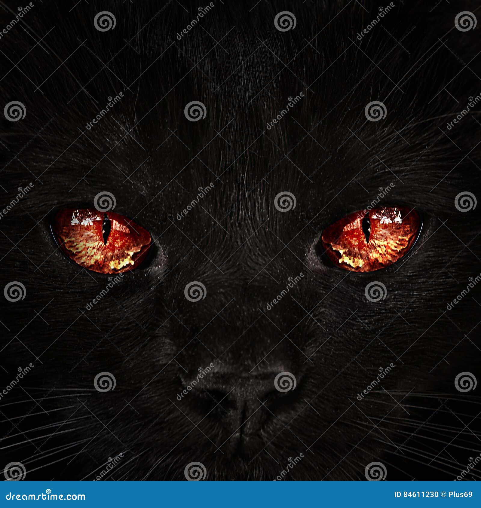 Shaggy Monster Red Eyes Closeup Stock Photo Image of halloween, black