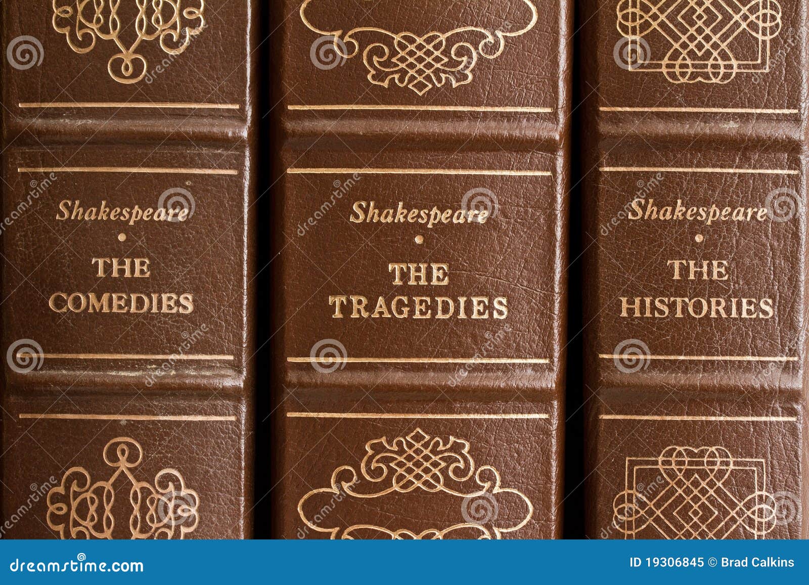 download Persuasion in sozialen Medien: Der Einfluss nutzergenerierter Inhalte auf die Rezeption und Wirkung von