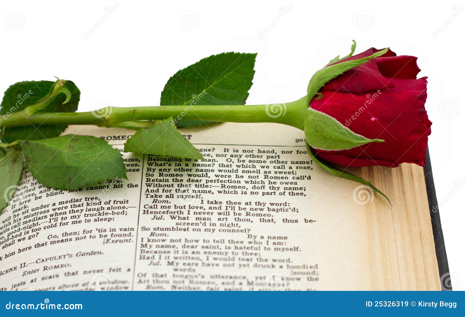 Shakespeare Romeo Juliet Red Rose Stock Image Image Of Literature