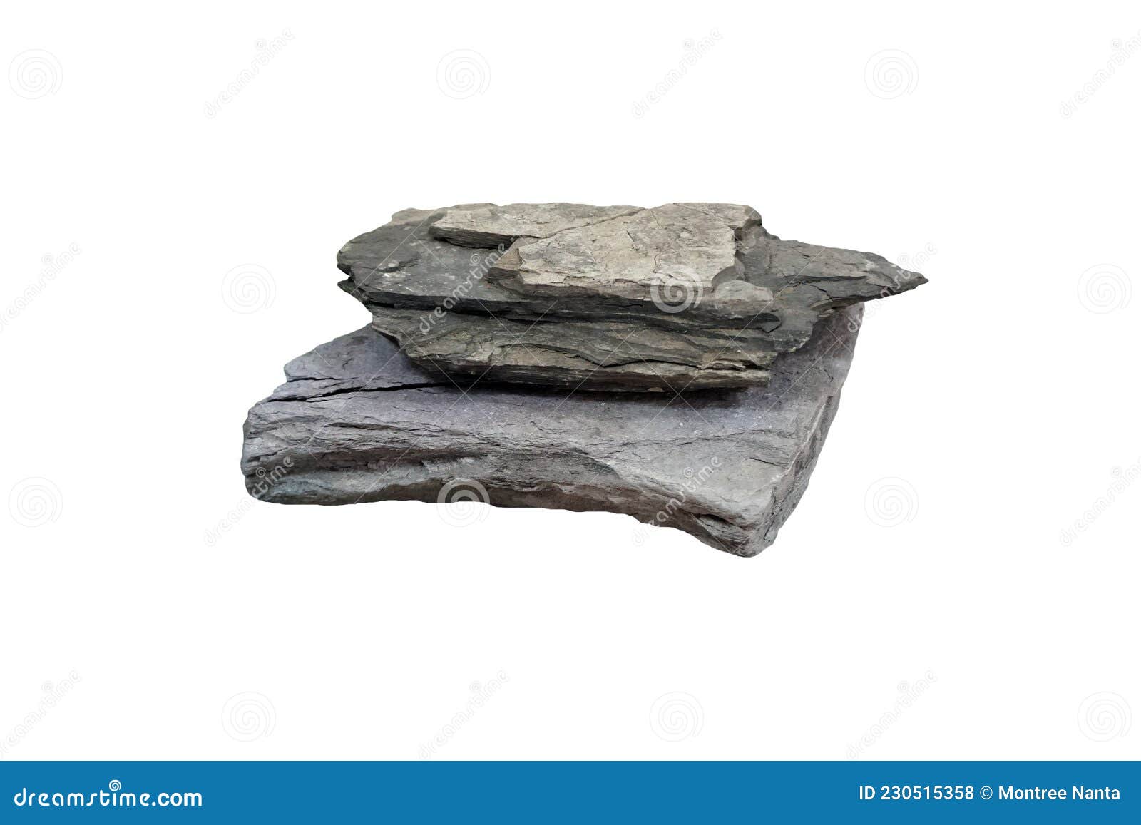 specimen of shale sedimentary rock  on white background.